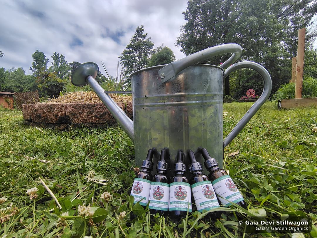 The five Gaia's Garden flower essences in their amber dropper bottles, leaning against a galvanized watering can in the medicine garden at Umpire, Arkansas.