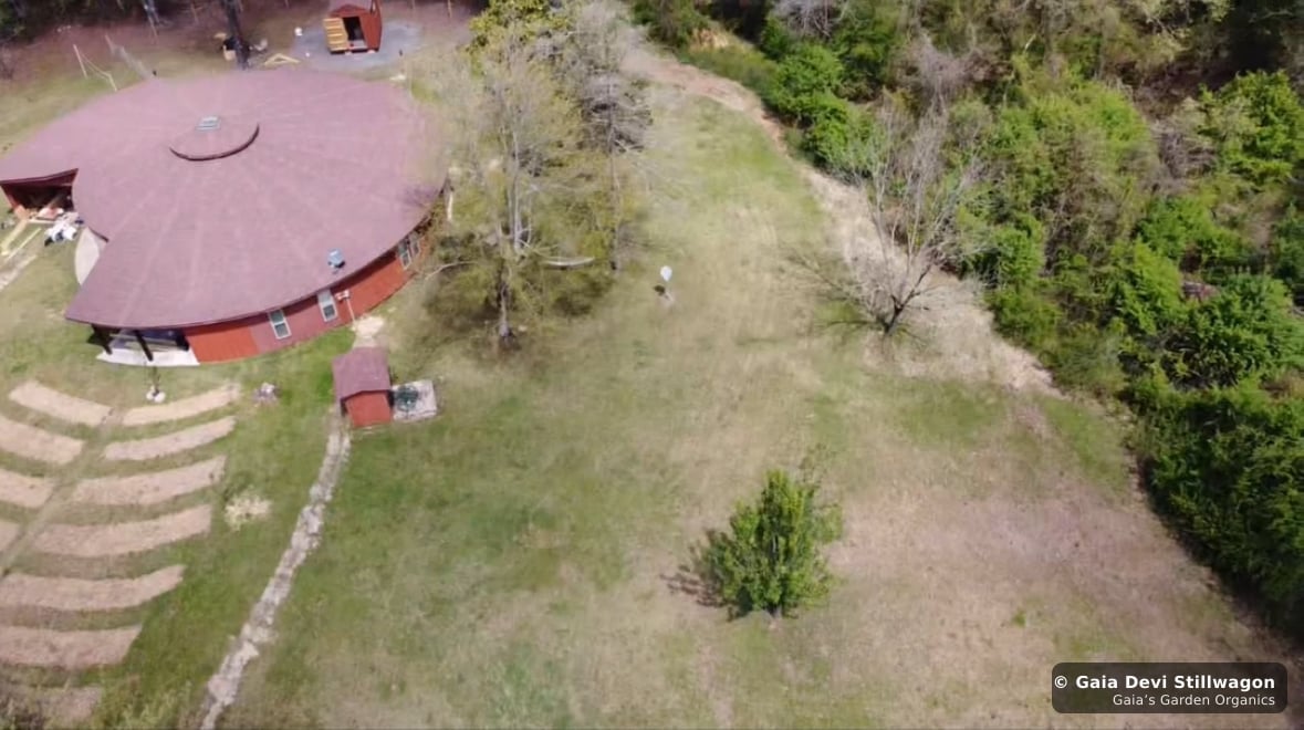 The medicinal herb garden at Gaia's Garden Organics, Umpire, Arkansas · Gaia Devi, clinical herbalist
