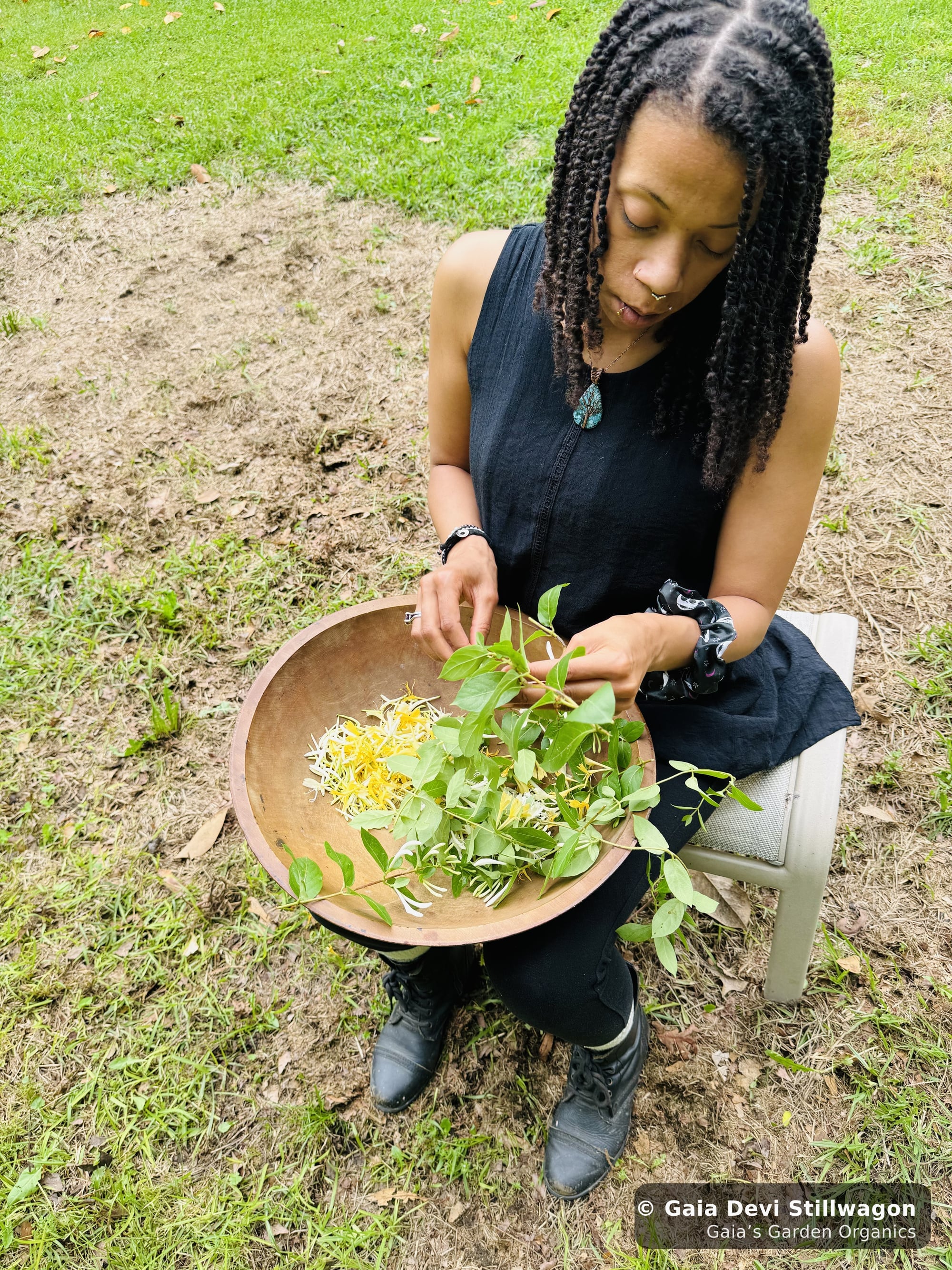 The medicinal herb garden at Gaia's Garden Organics, Umpire, Arkansas · Gaia Devi, clinical herbalist