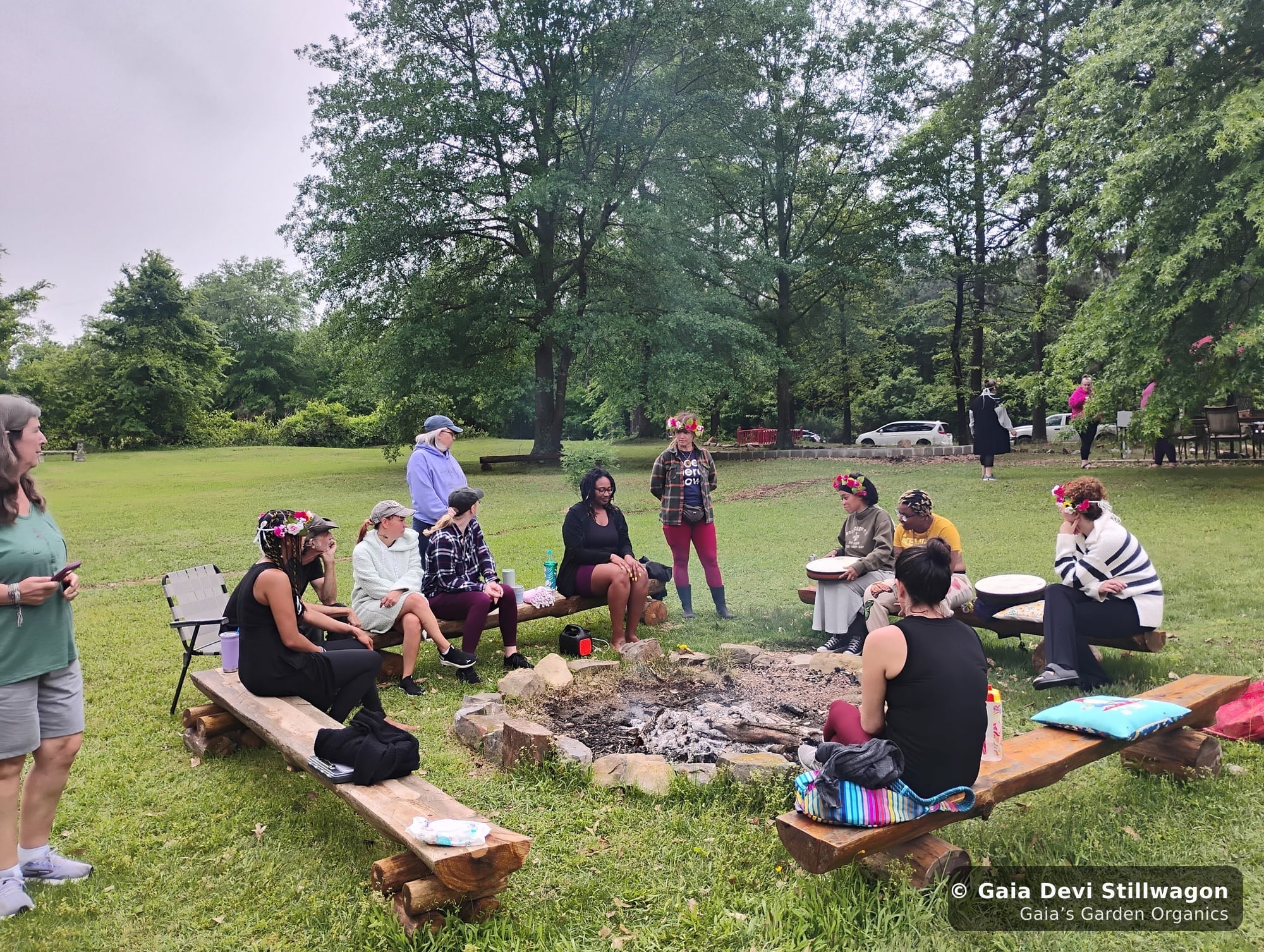 The medicinal herb garden at Gaia's Garden Organics, Umpire, Arkansas · Gaia Devi, clinical herbalist