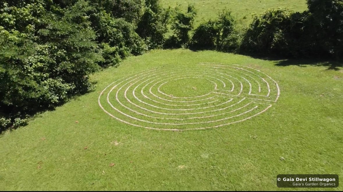 The medicinal herb garden at Gaia's Garden Organics, Umpire, Arkansas · Gaia Devi, clinical herbalist
