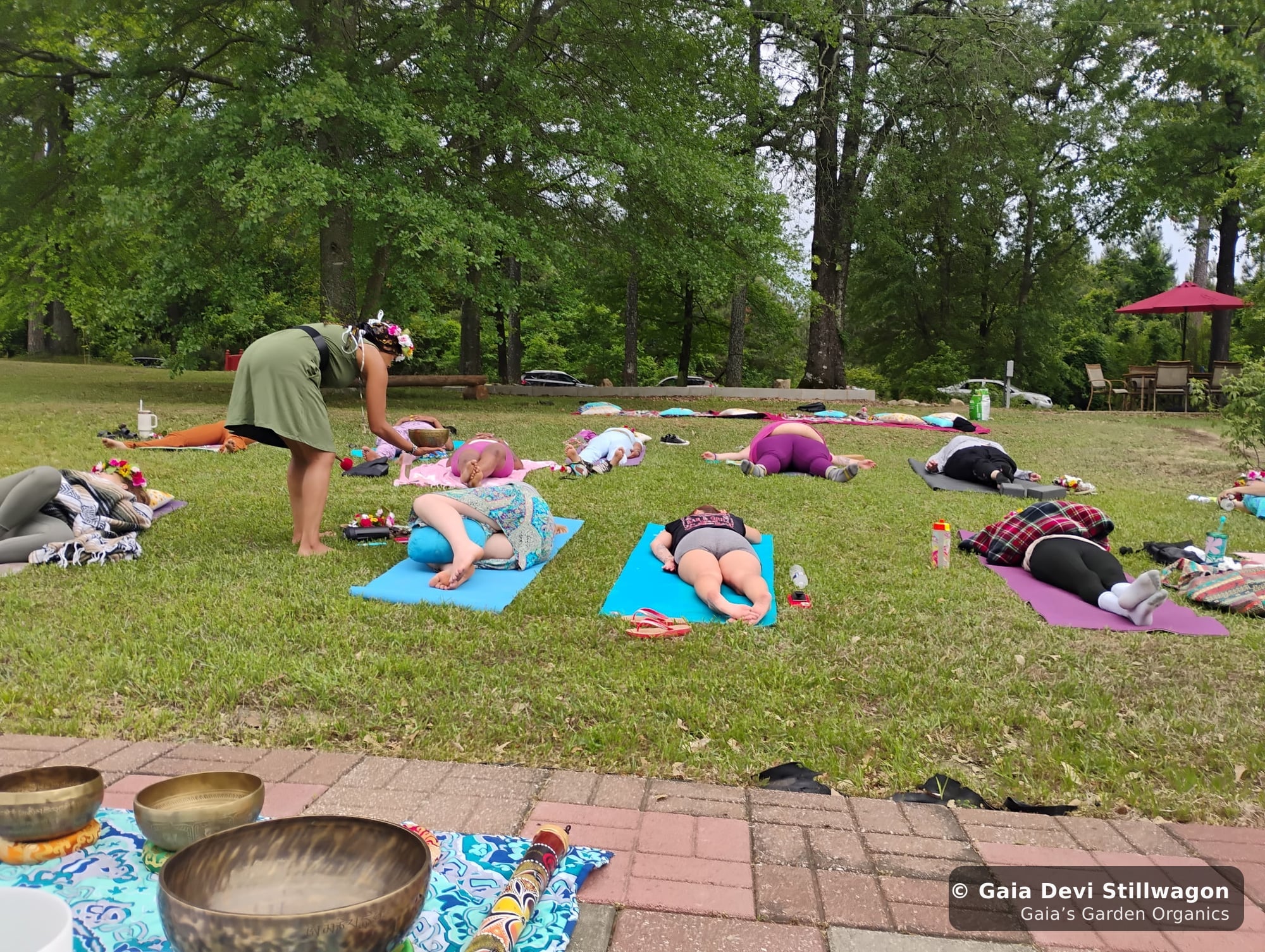 The medicinal herb garden at Gaia's Garden Organics, Umpire, Arkansas · Gaia Devi, clinical herbalist