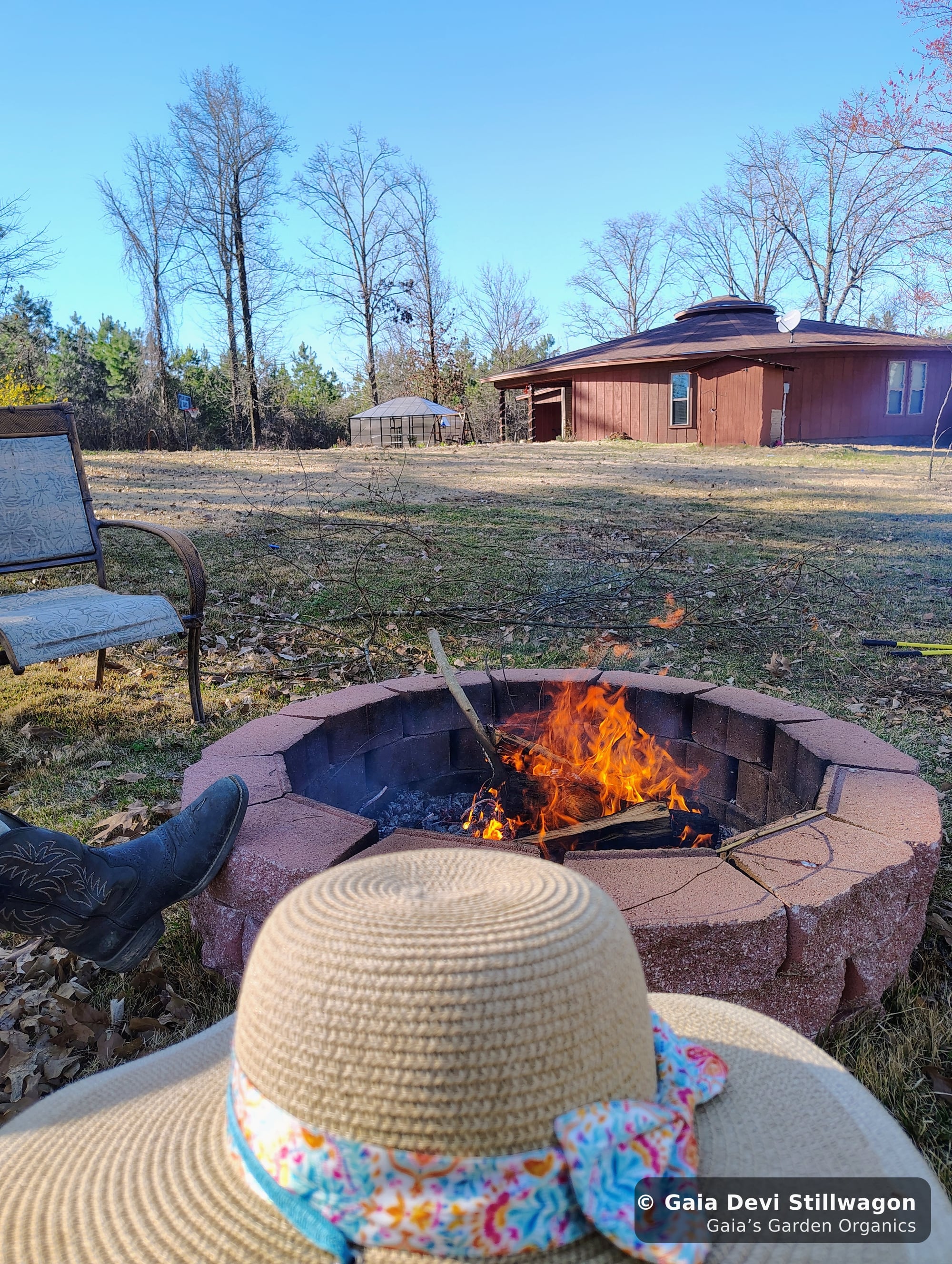 The medicinal herb garden at Gaia's Garden Organics, Umpire, Arkansas · Gaia Devi, clinical herbalist