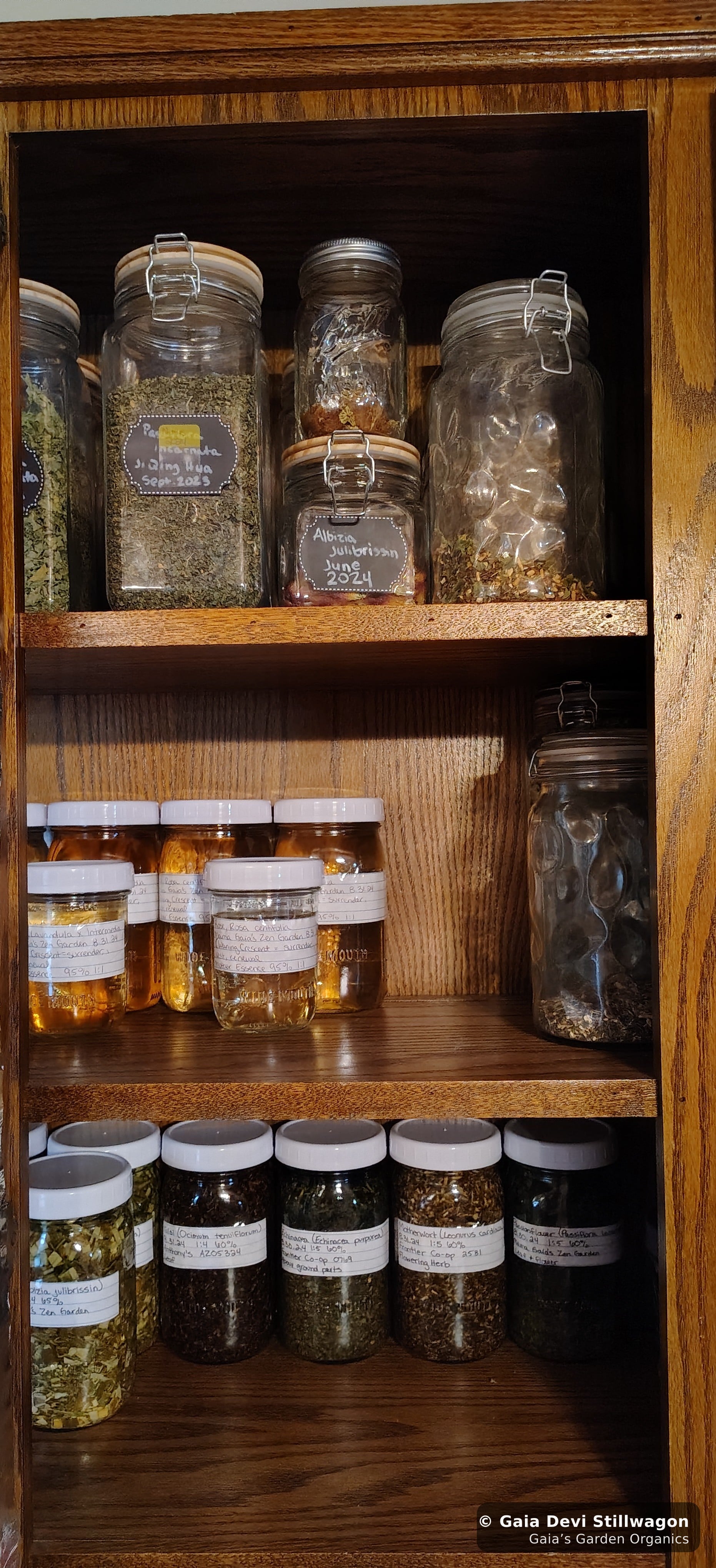 The medicinal herb garden at Gaia's Garden Organics, Umpire, Arkansas · Gaia Devi, clinical herbalist