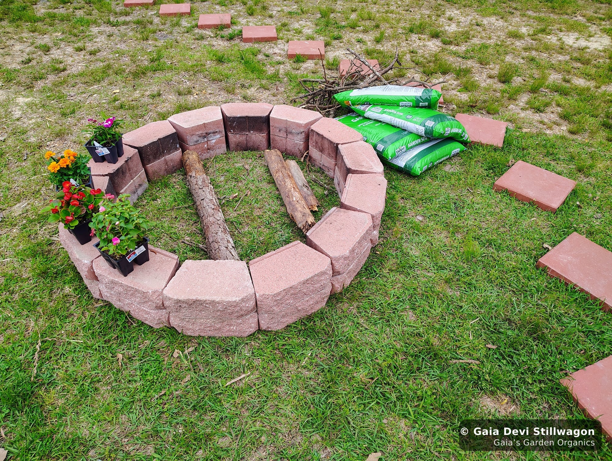 The medicinal herb garden at Gaia's Garden Organics, Umpire, Arkansas · Gaia Devi, clinical herbalist