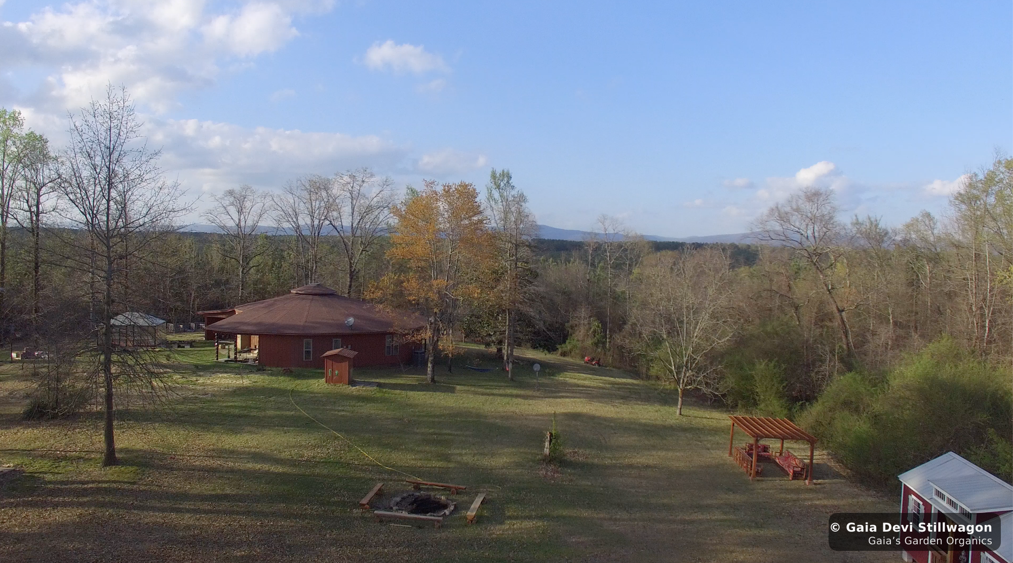 The medicinal herb garden at Gaia's Garden Organics, Umpire, Arkansas · Gaia Devi, clinical herbalist