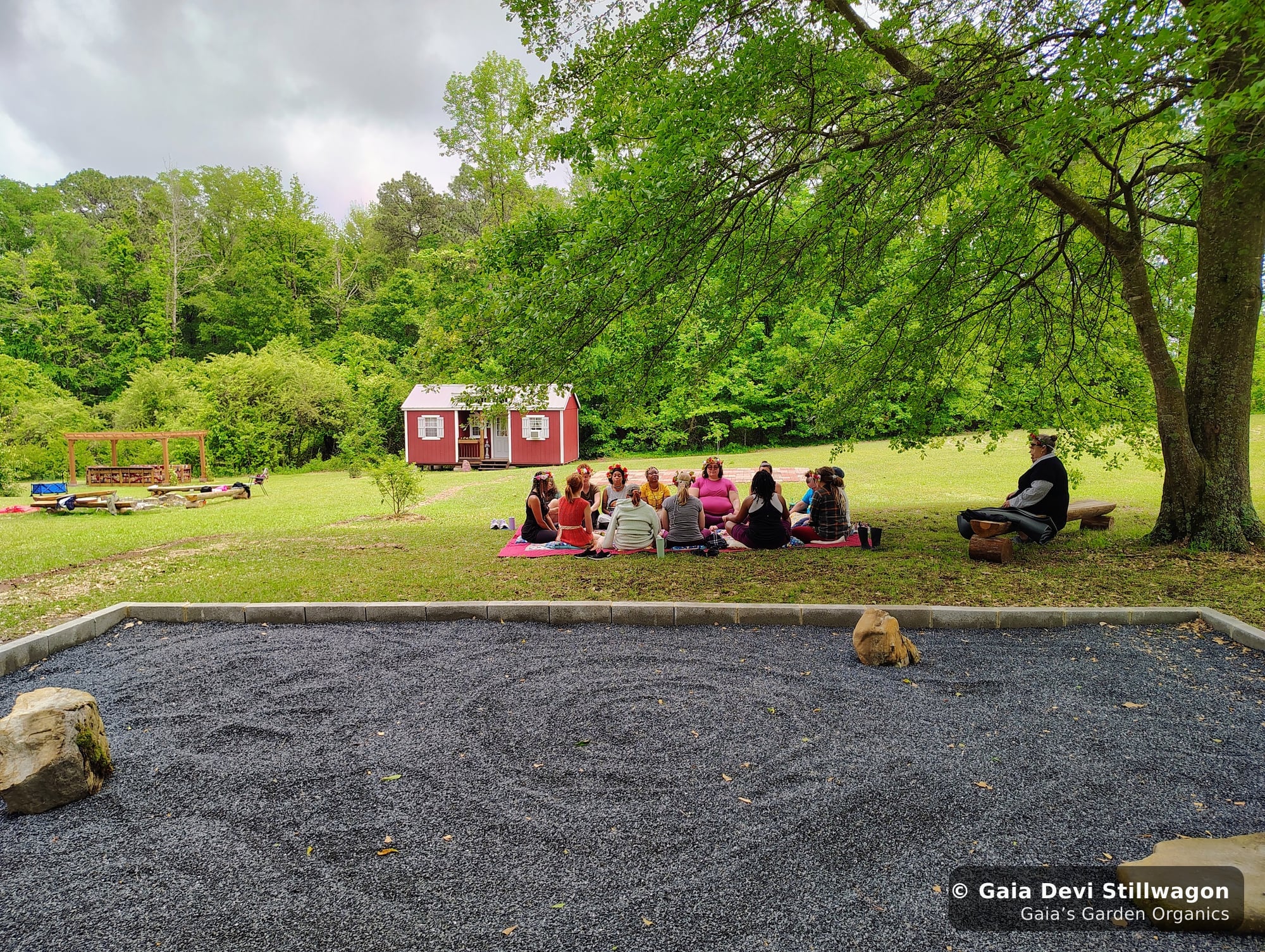 The medicinal herb garden at Gaia's Garden Organics, Umpire, Arkansas · Gaia Devi, clinical herbalist