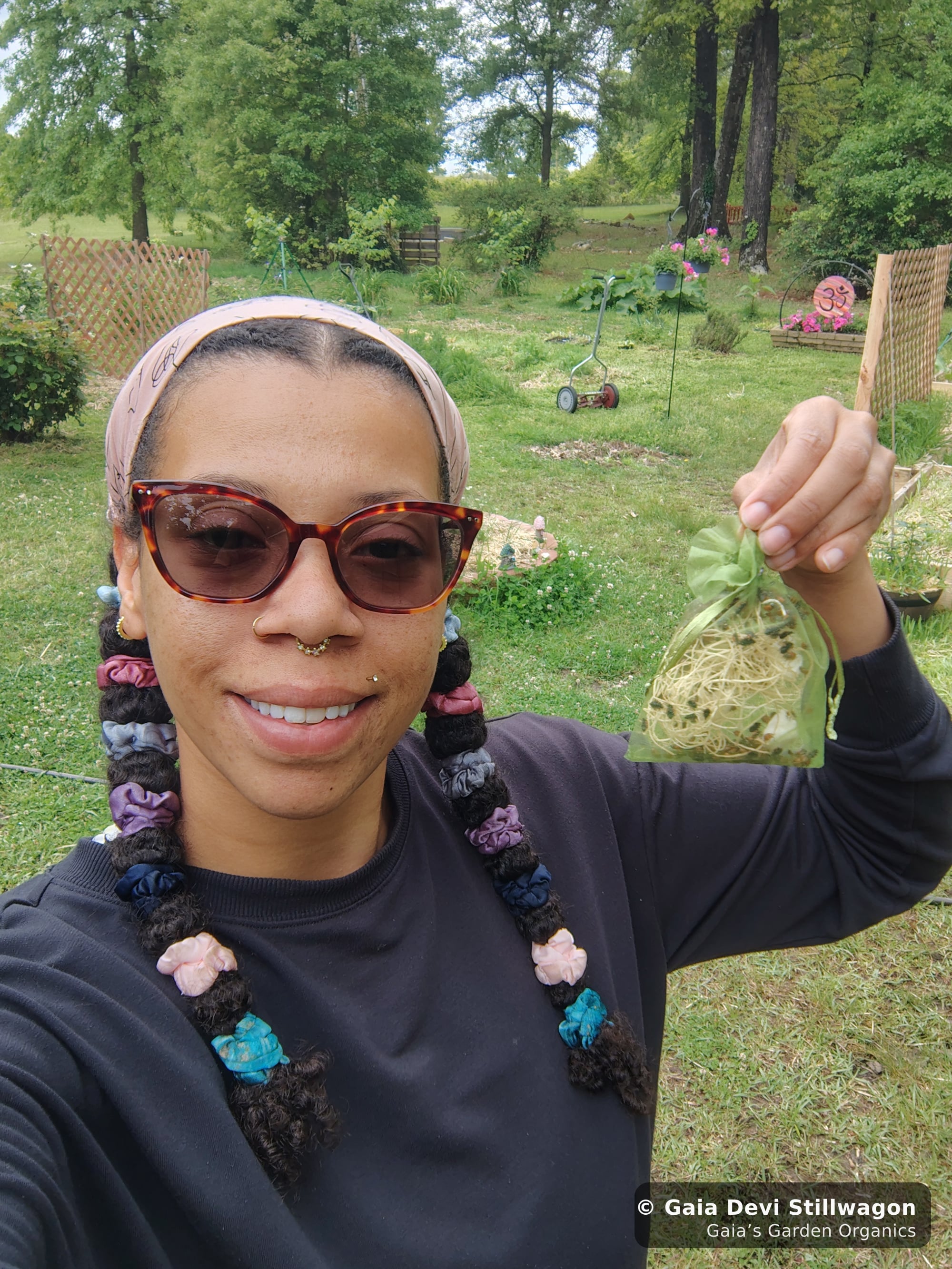 The medicinal herb garden at Gaia's Garden Organics — Umpire, Arkansas · Gaia Devi, clinical herbalist