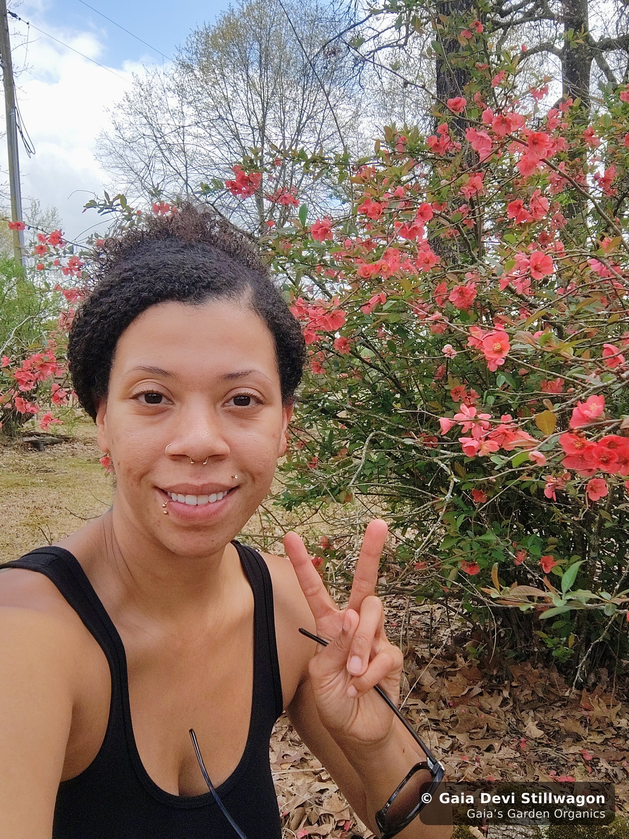 The medicinal herb garden at Gaia's Garden Organics, Umpire, Arkansas · Gaia Devi, clinical herbalist