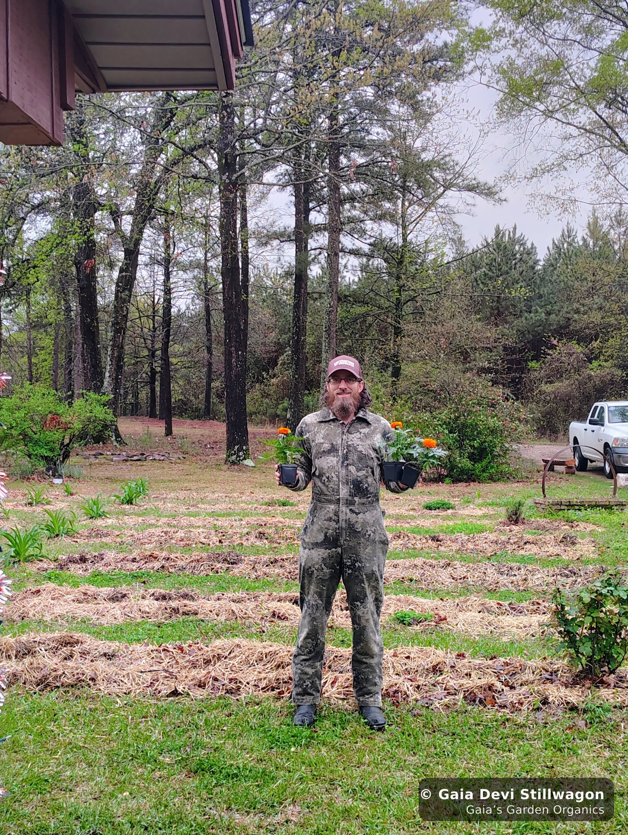 The medicinal herb garden at Gaia's Garden Organics, Umpire, Arkansas · Gaia Devi, clinical herbalist