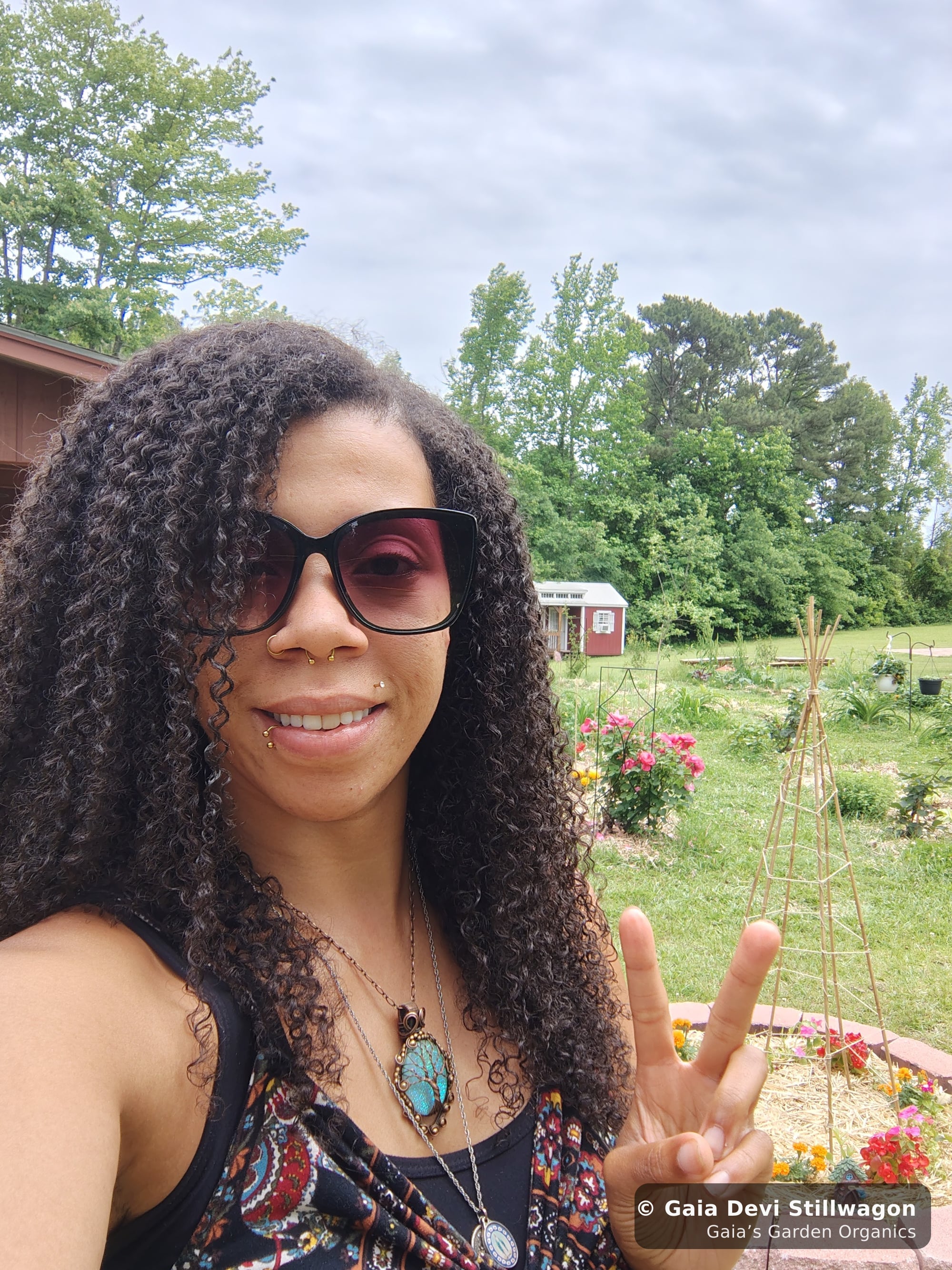 The medicinal herb garden at Gaia's Garden Organics, Umpire, Arkansas · Gaia Devi, clinical herbalist