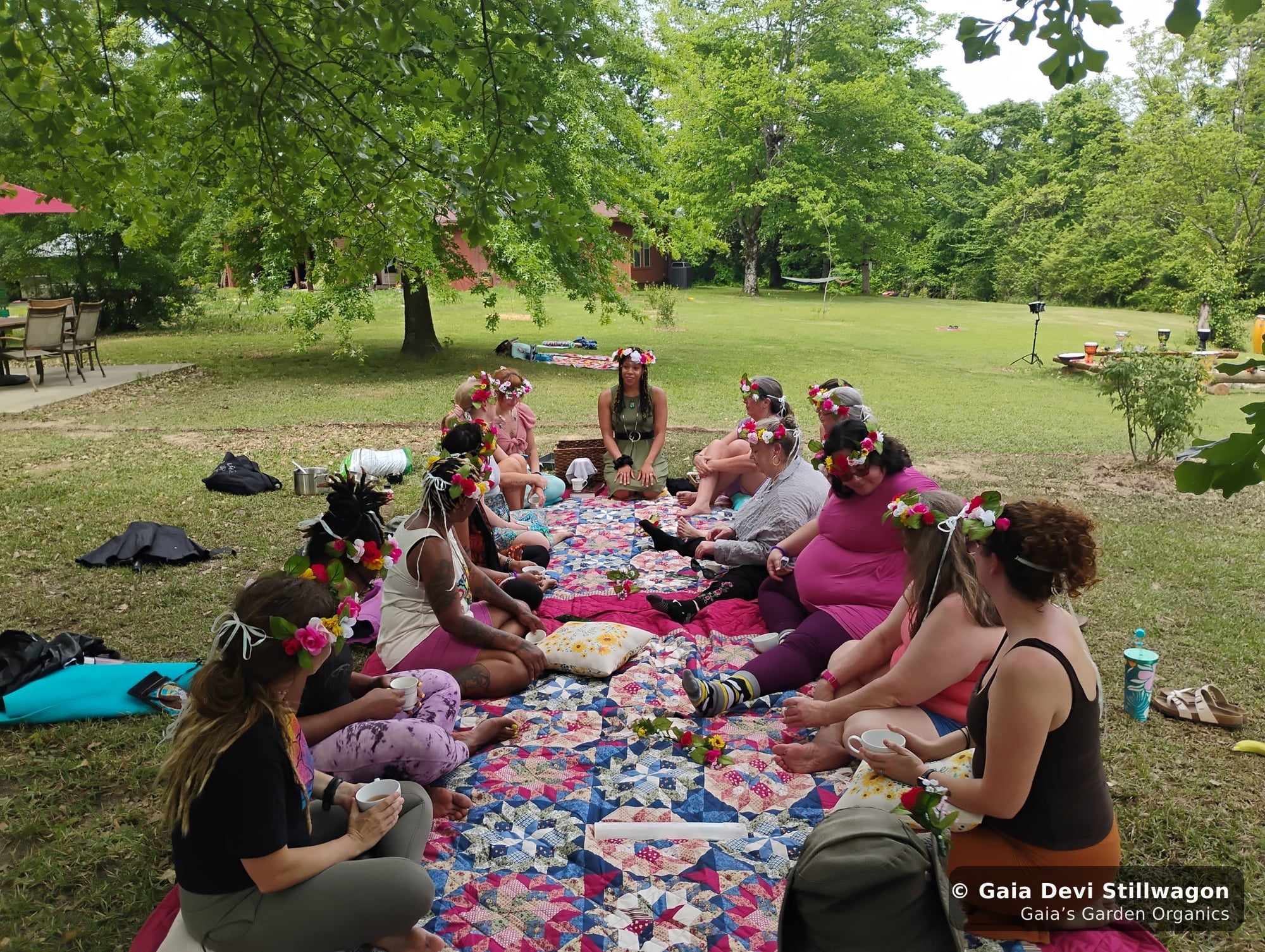 The medicinal herb garden at Gaia's Garden Organics, Umpire, Arkansas · Gaia Devi, clinical herbalist