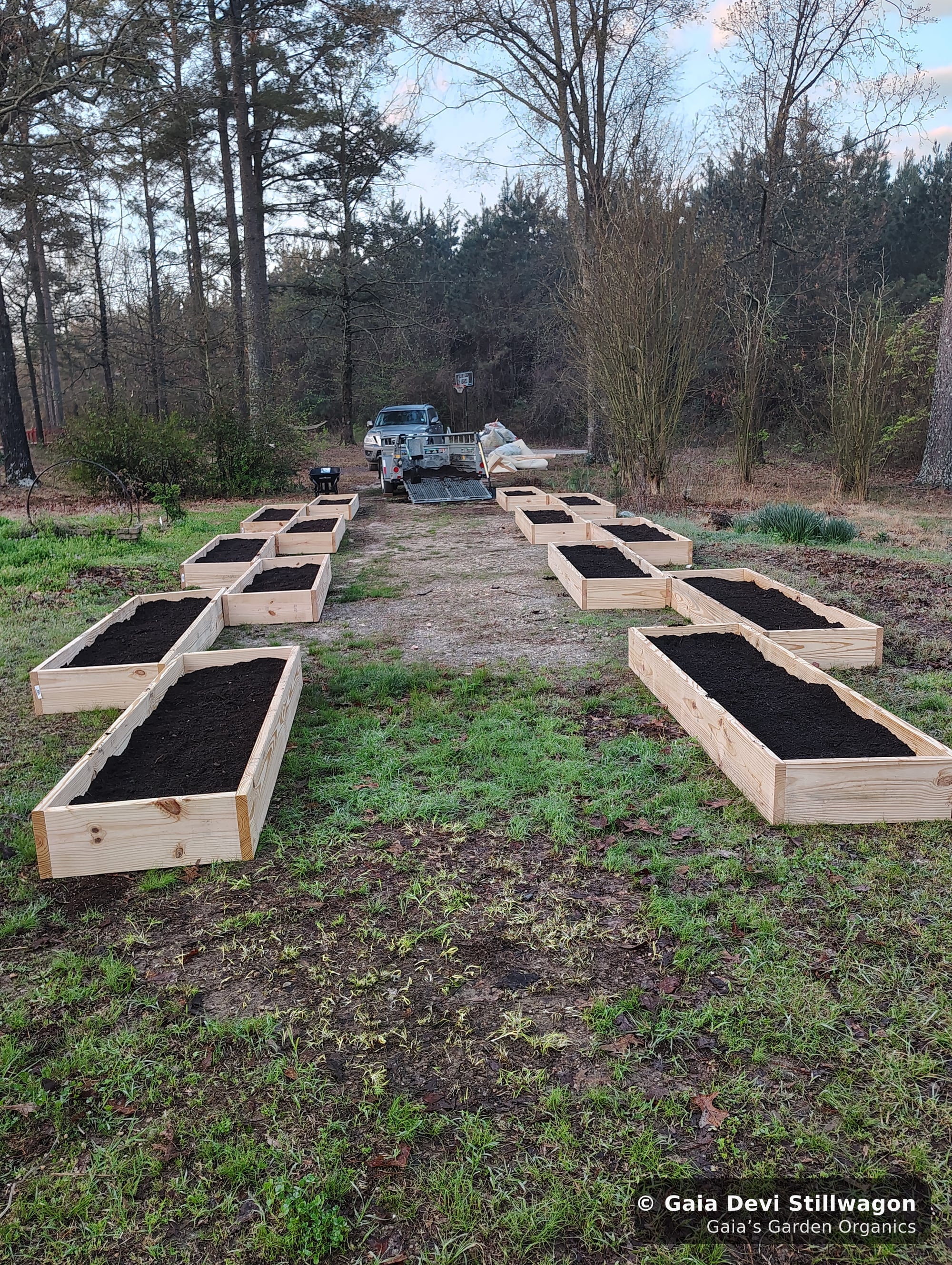 The medicinal herb garden at Gaia's Garden Organics, Umpire, Arkansas · Gaia Devi, clinical herbalist