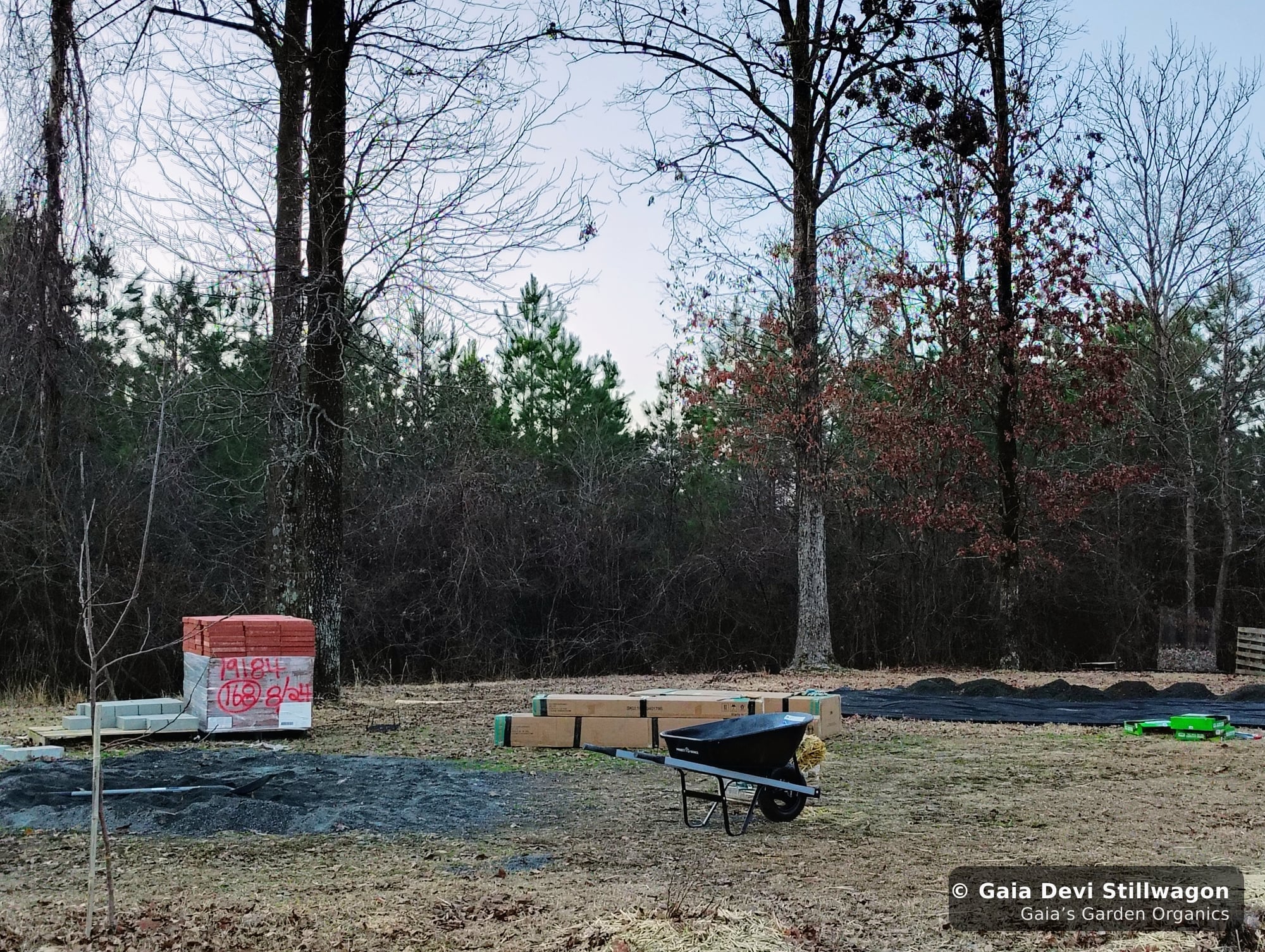 The medicinal herb garden at Gaia's Garden Organics, Umpire, Arkansas · Gaia Devi, clinical herbalist