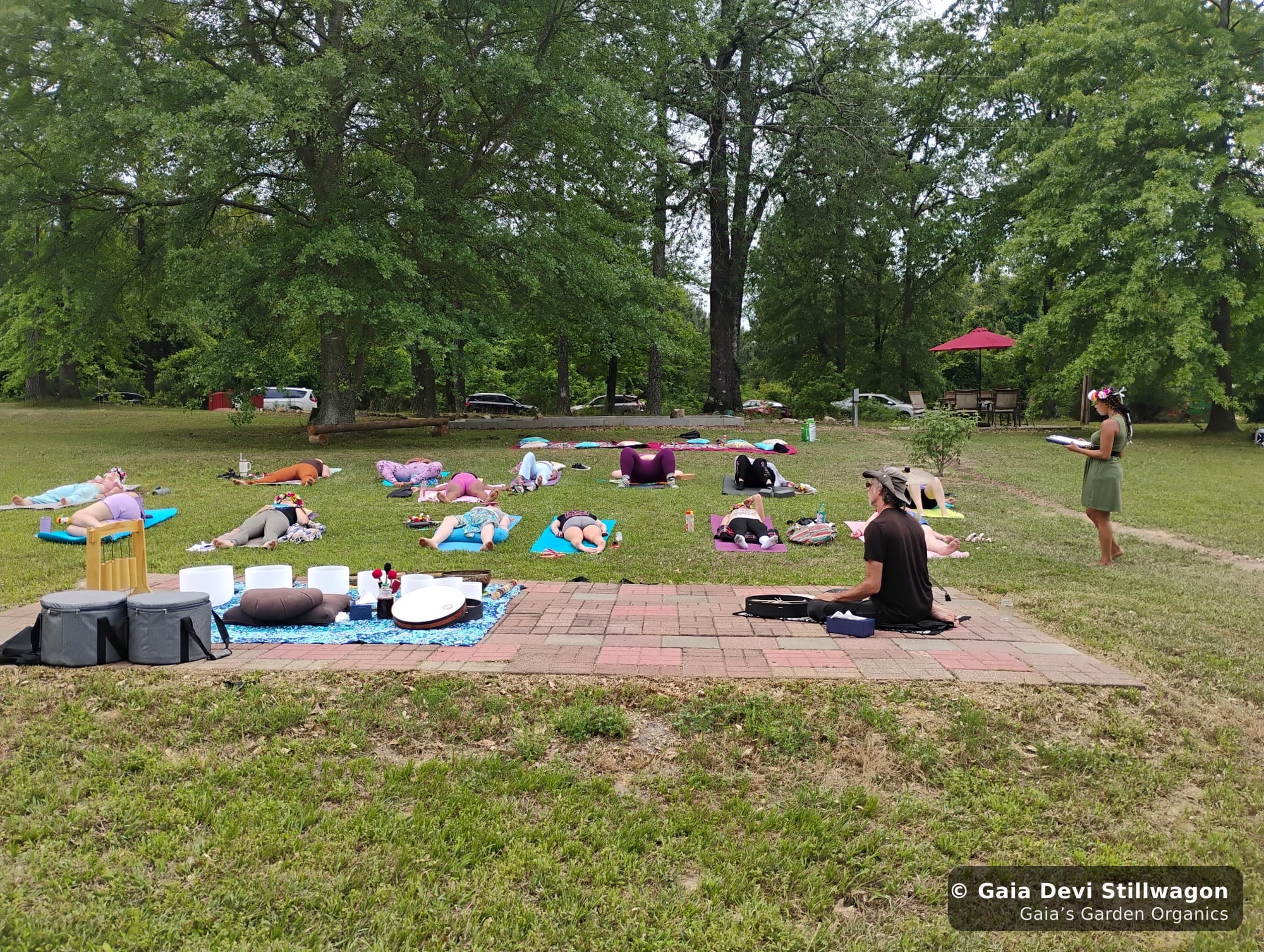 The medicinal herb garden at Gaia's Garden Organics, Umpire, Arkansas · Gaia Devi, clinical herbalist