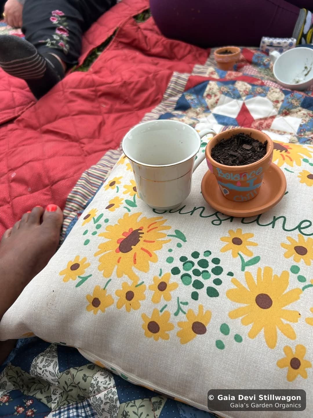 The medicinal herb garden at Gaia's Garden Organics, Umpire, Arkansas · Gaia Devi, clinical herbalist