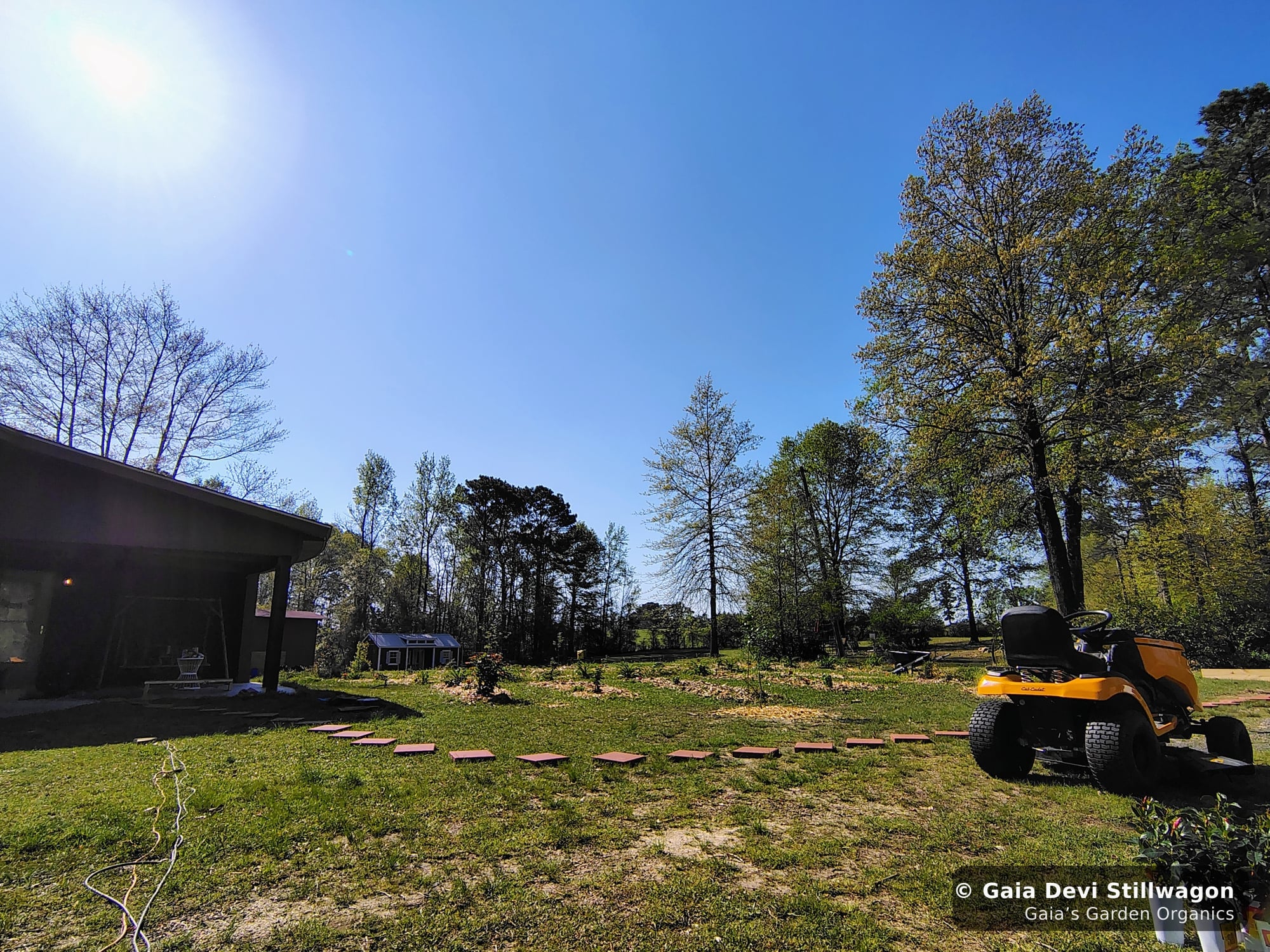 The medicinal herb garden at Gaia's Garden Organics, Umpire, Arkansas · Gaia Devi, clinical herbalist