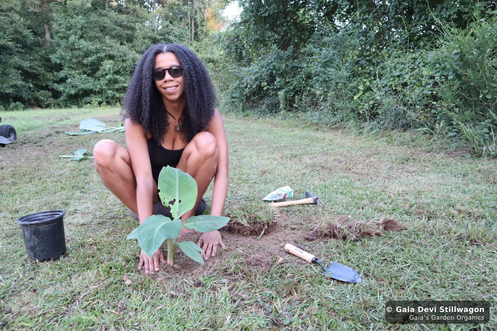 The medicinal herb garden at Gaia's Garden Organics, Umpire, Arkansas · Gaia Devi, clinical herbalist