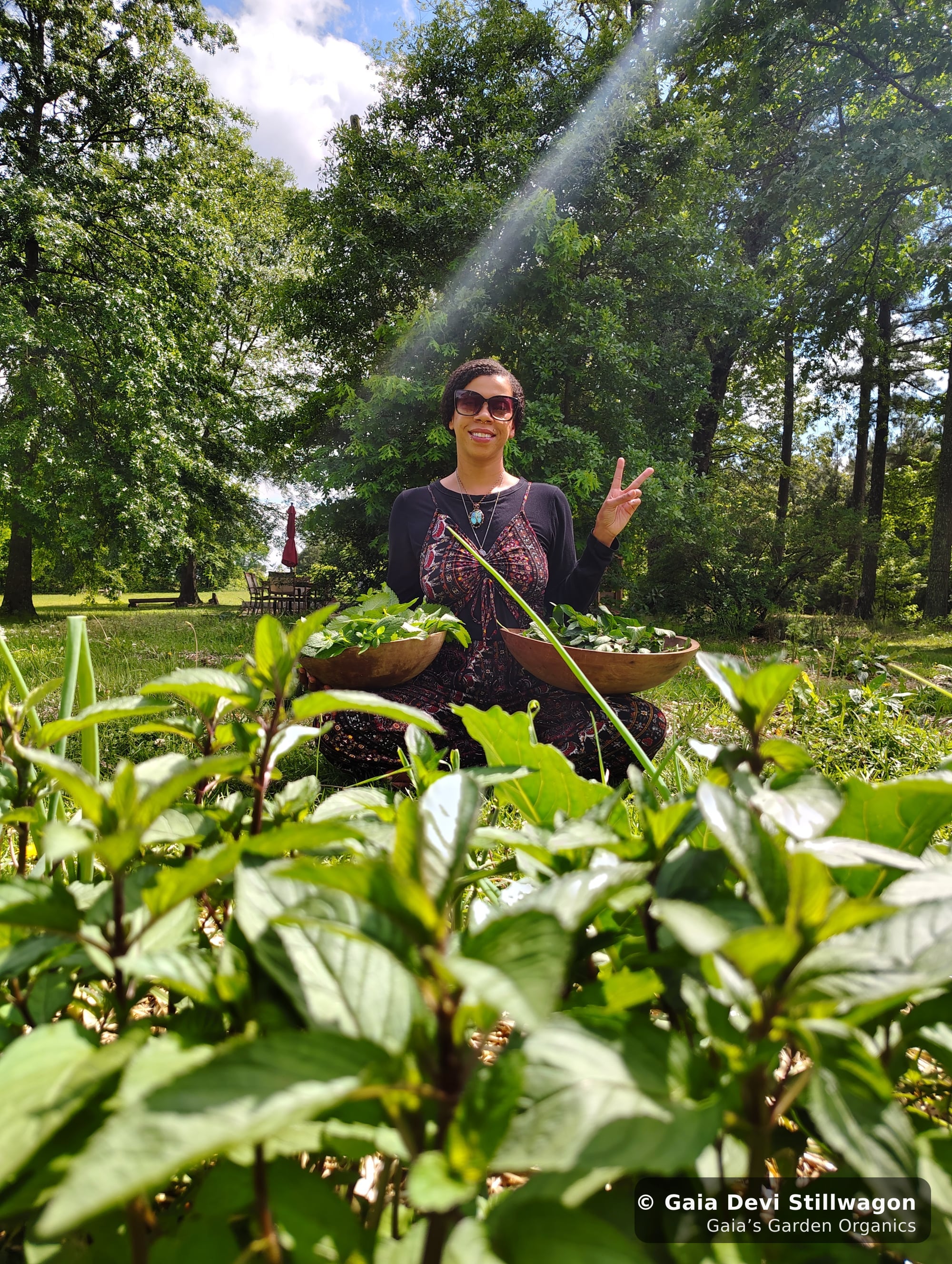The medicinal herb garden at Gaia's Garden Organics, Umpire, Arkansas · Gaia Devi, clinical herbalist