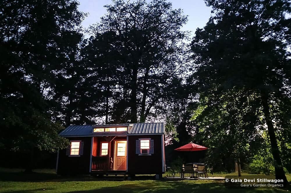 The medicinal herb garden at Gaia's Garden Organics, Umpire, Arkansas · Gaia Devi, clinical herbalist