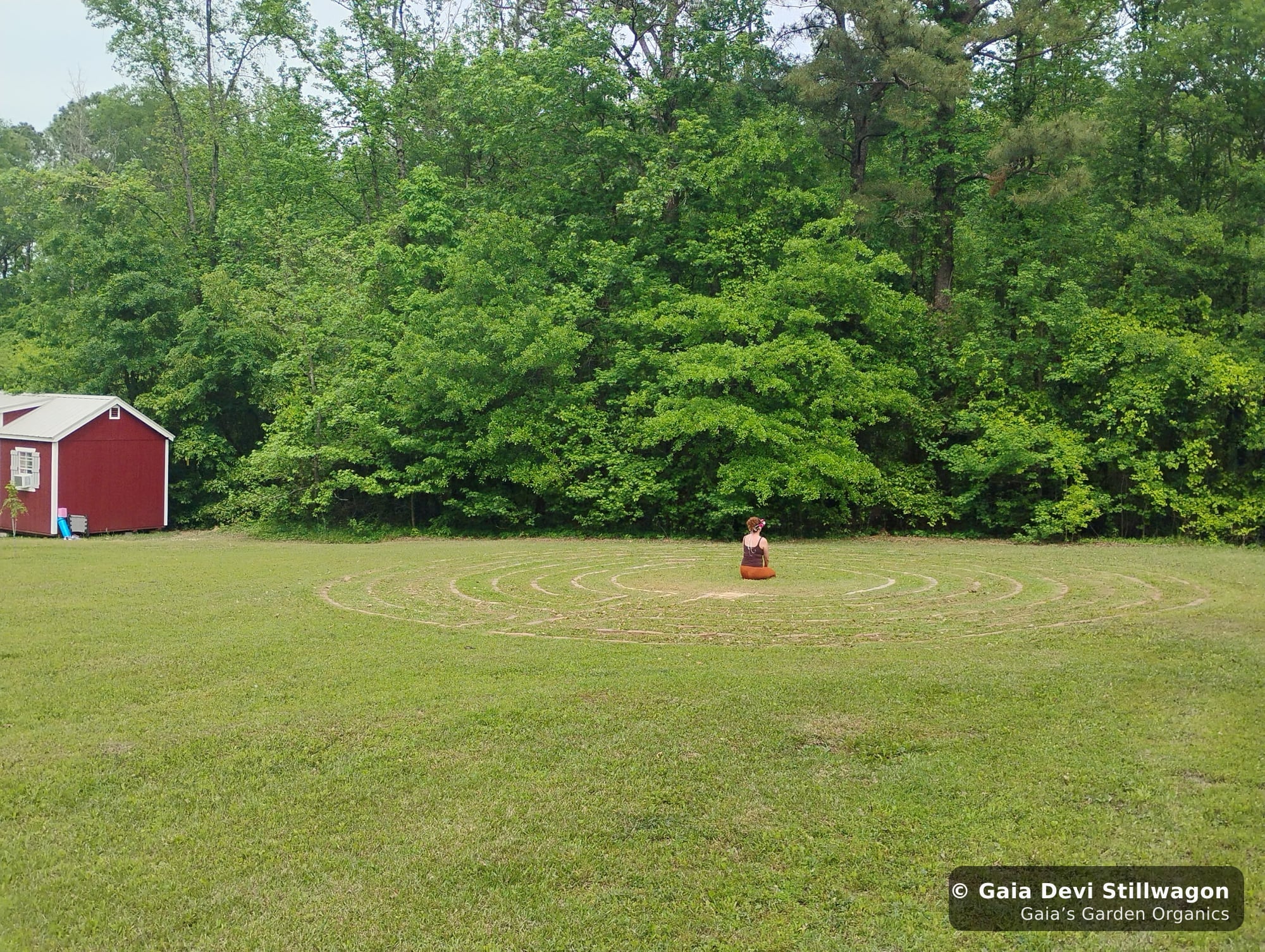 The medicinal herb garden at Gaia's Garden Organics, Umpire, Arkansas · Gaia Devi, clinical herbalist
