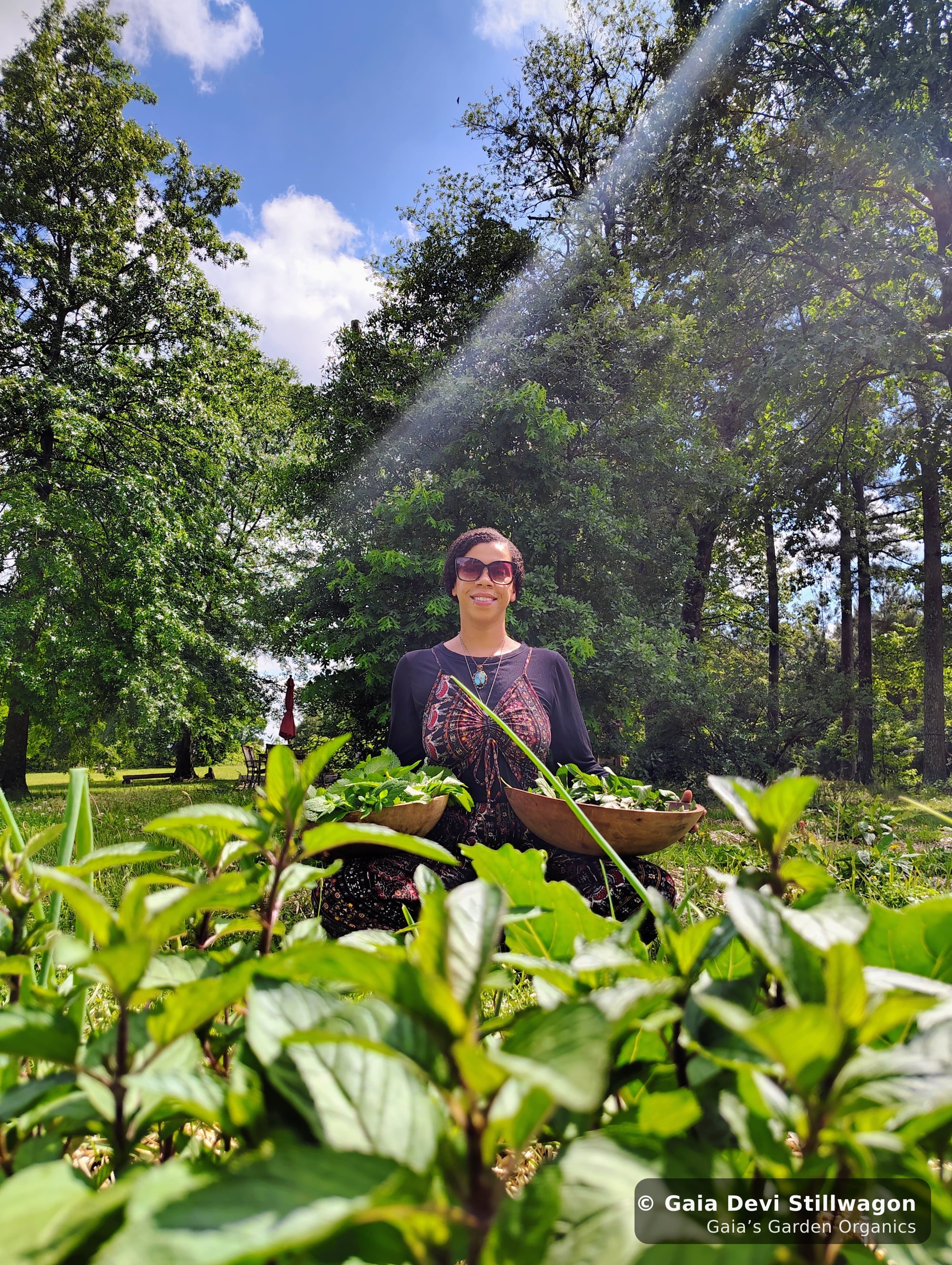 The medicinal herb garden at Gaia's Garden Organics, Umpire, Arkansas · Gaia Devi, clinical herbalist