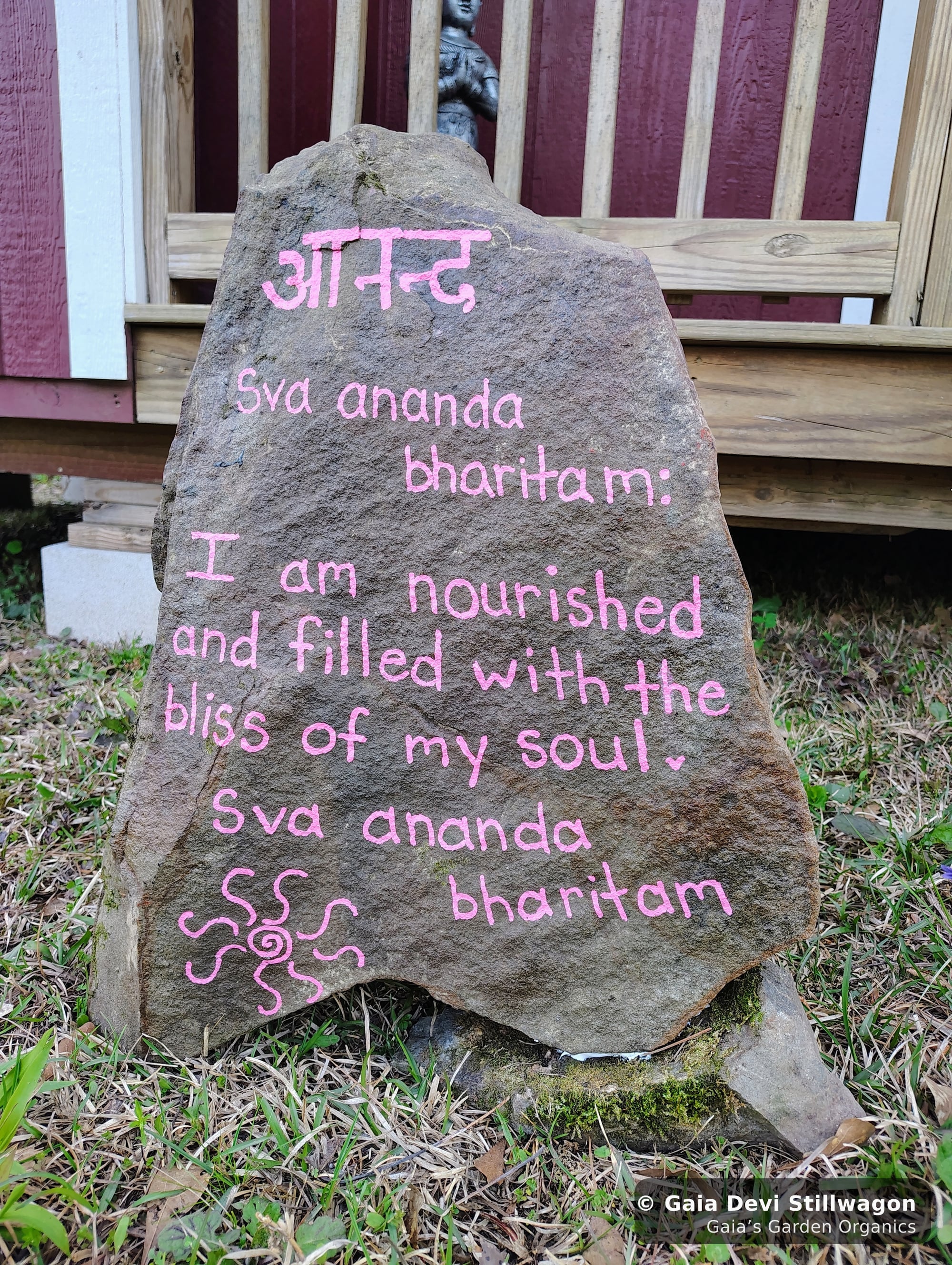 The medicinal herb garden at Gaia's Garden Organics, Umpire, Arkansas · Gaia Devi, clinical herbalist