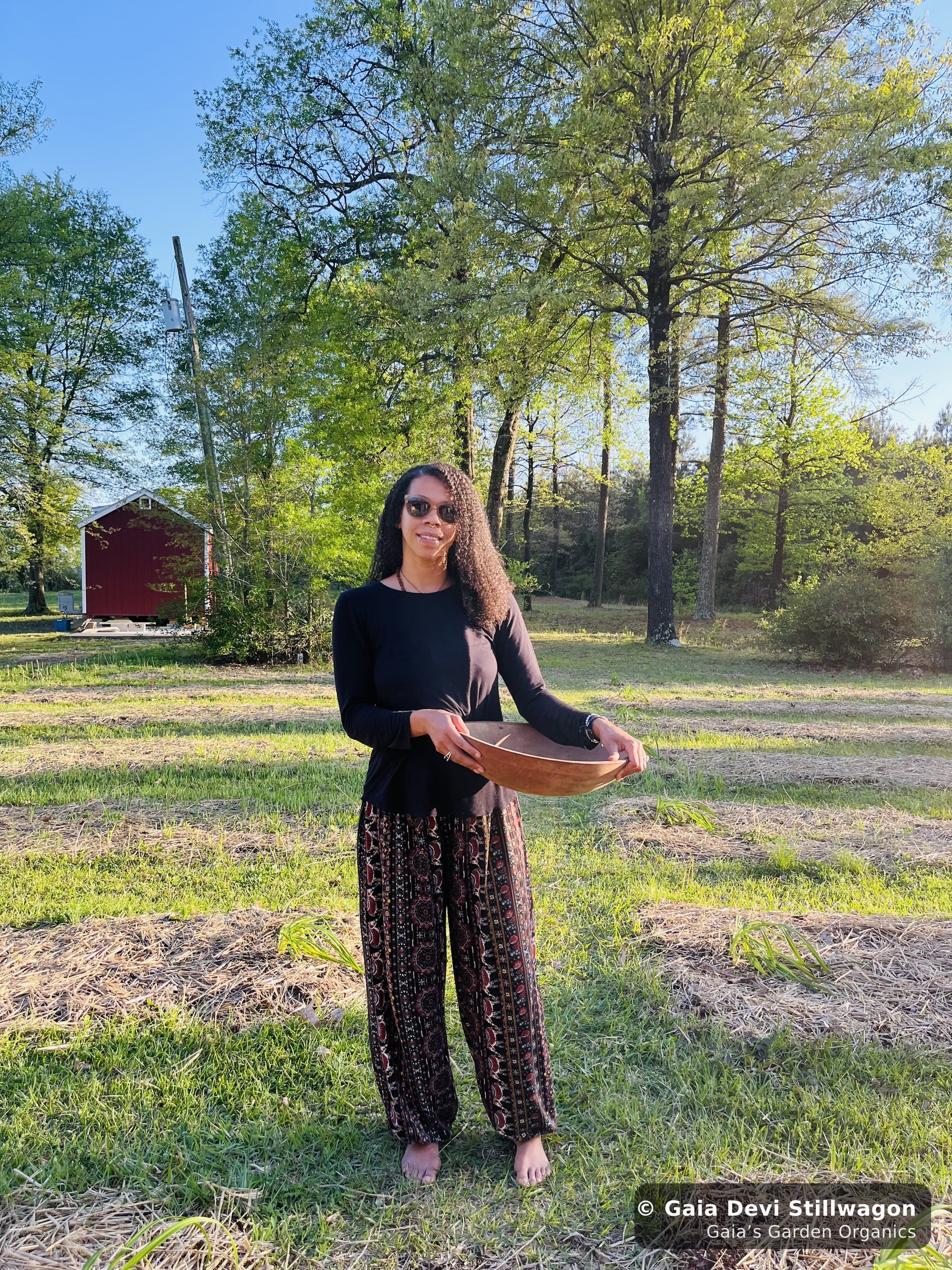 The medicinal herb garden at Gaia's Garden Organics, Umpire, Arkansas · Gaia Devi, clinical herbalist