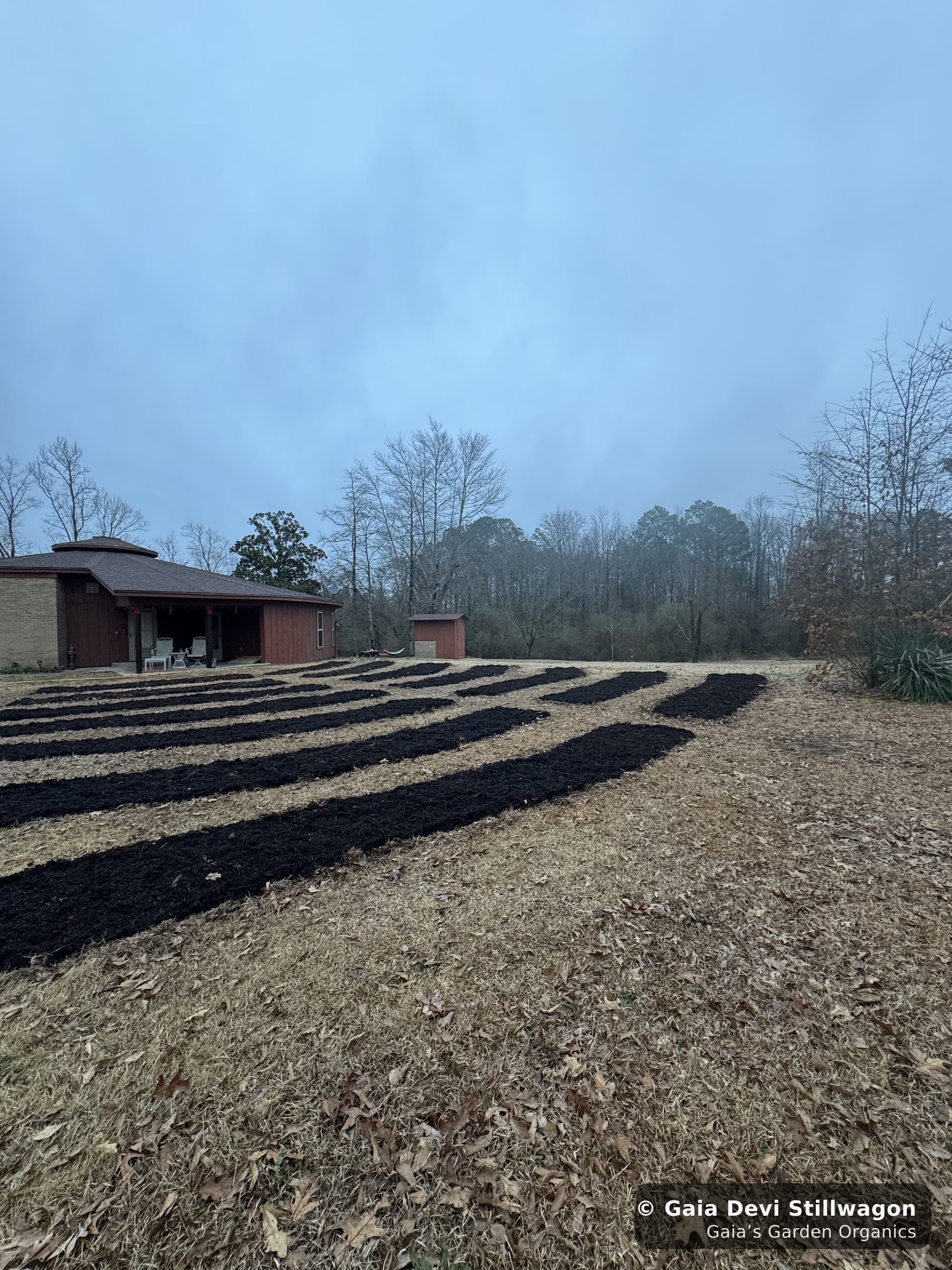 The medicinal herb garden at Gaia's Garden Organics, Umpire, Arkansas · Gaia Devi, clinical herbalist