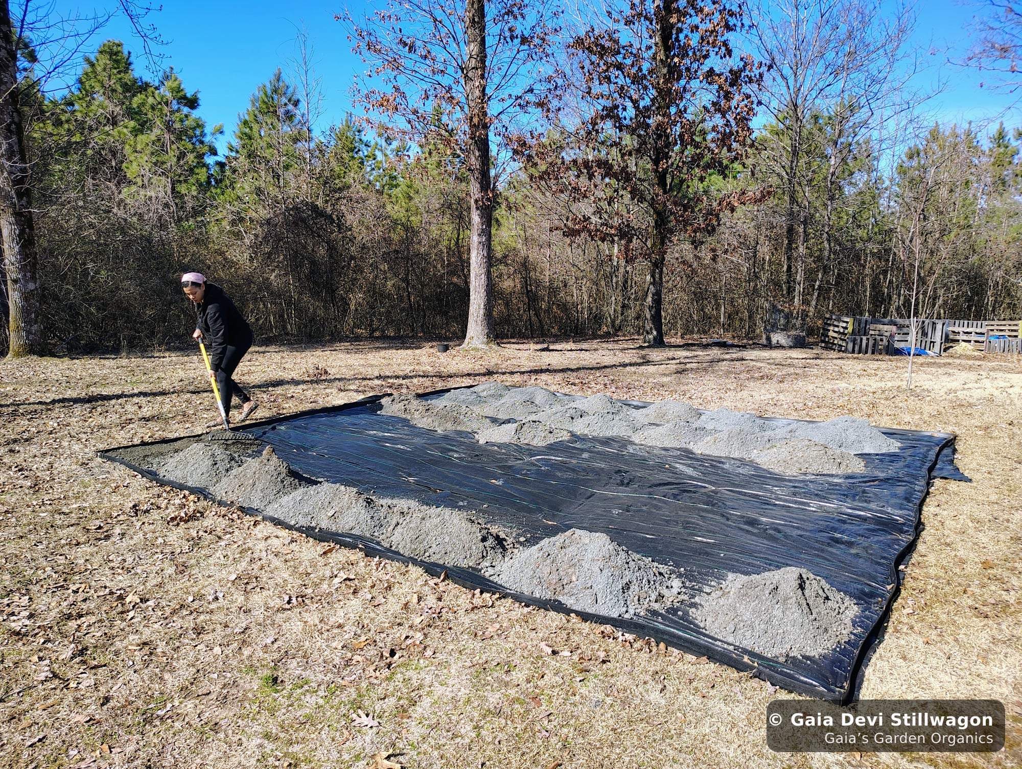 The medicinal herb garden at Gaia's Garden Organics, Umpire, Arkansas · Gaia Devi, clinical herbalist