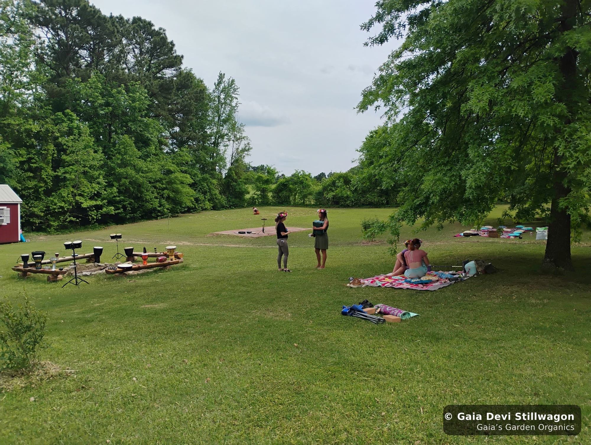 The medicinal herb garden at Gaia's Garden Organics, Umpire, Arkansas · Gaia Devi, clinical herbalist