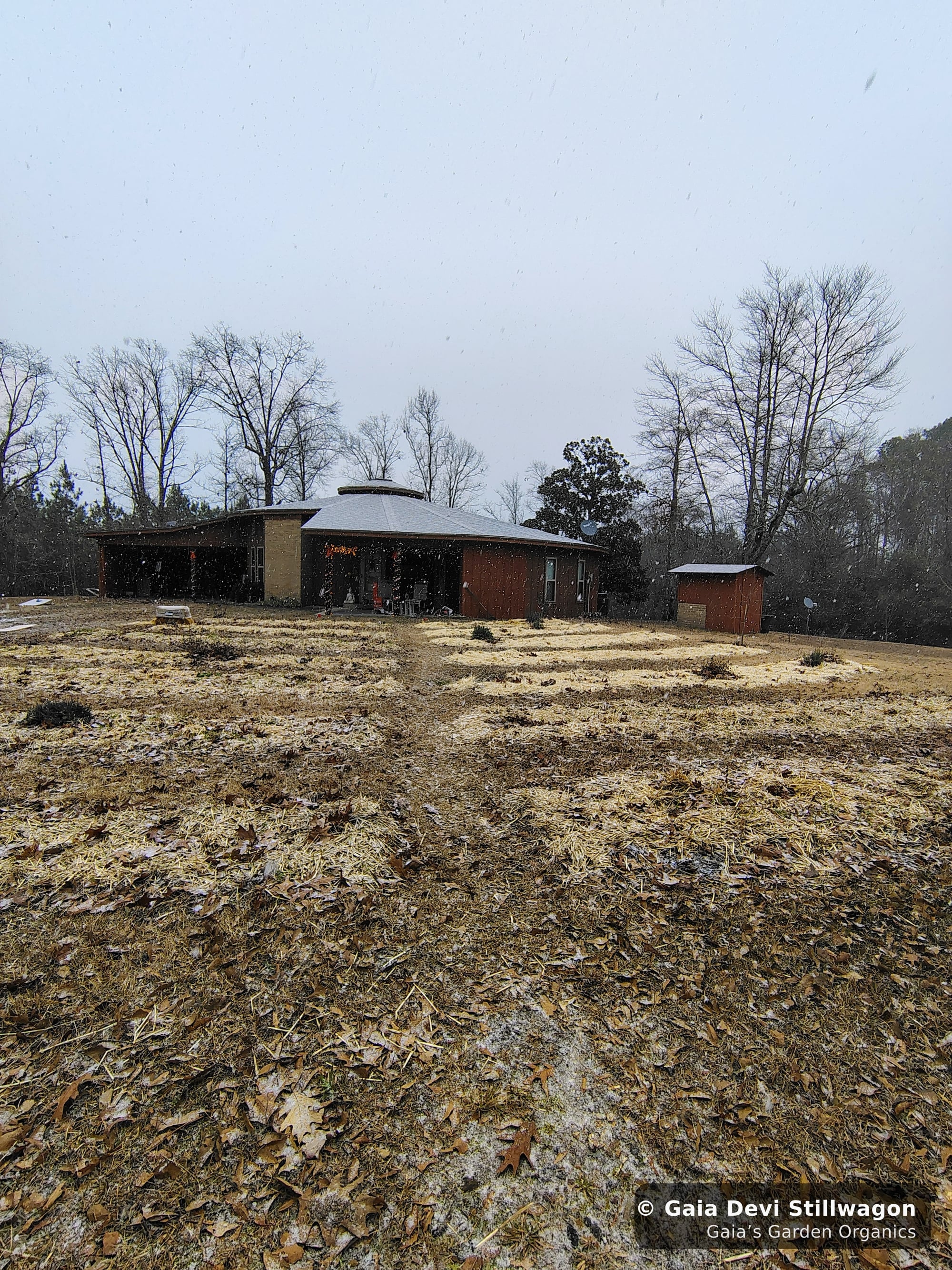 The medicinal herb garden at Gaia's Garden Organics, Umpire, Arkansas · Gaia Devi, clinical herbalist