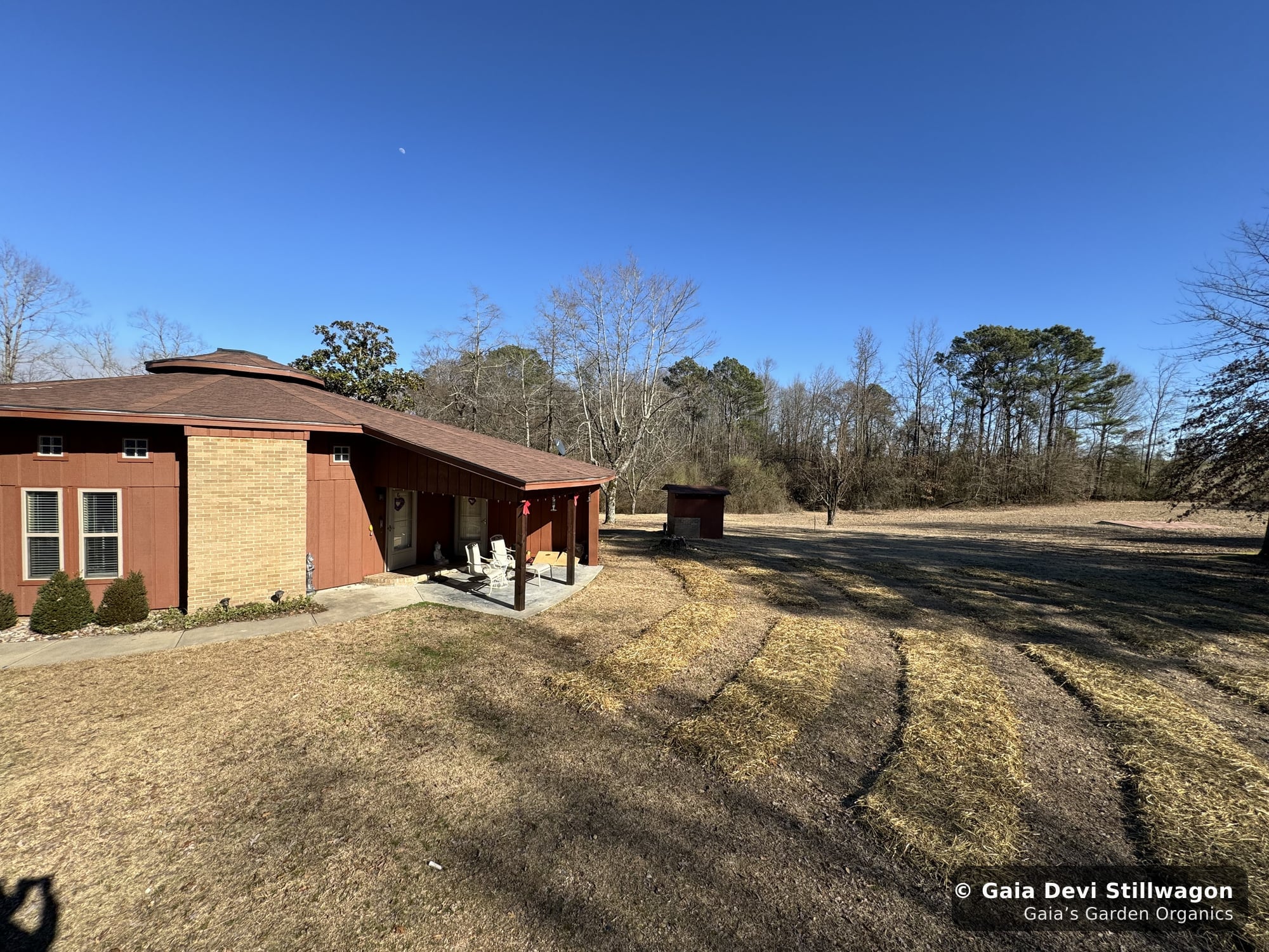 The medicinal herb garden at Gaia's Garden Organics, Umpire, Arkansas · Gaia Devi, clinical herbalist