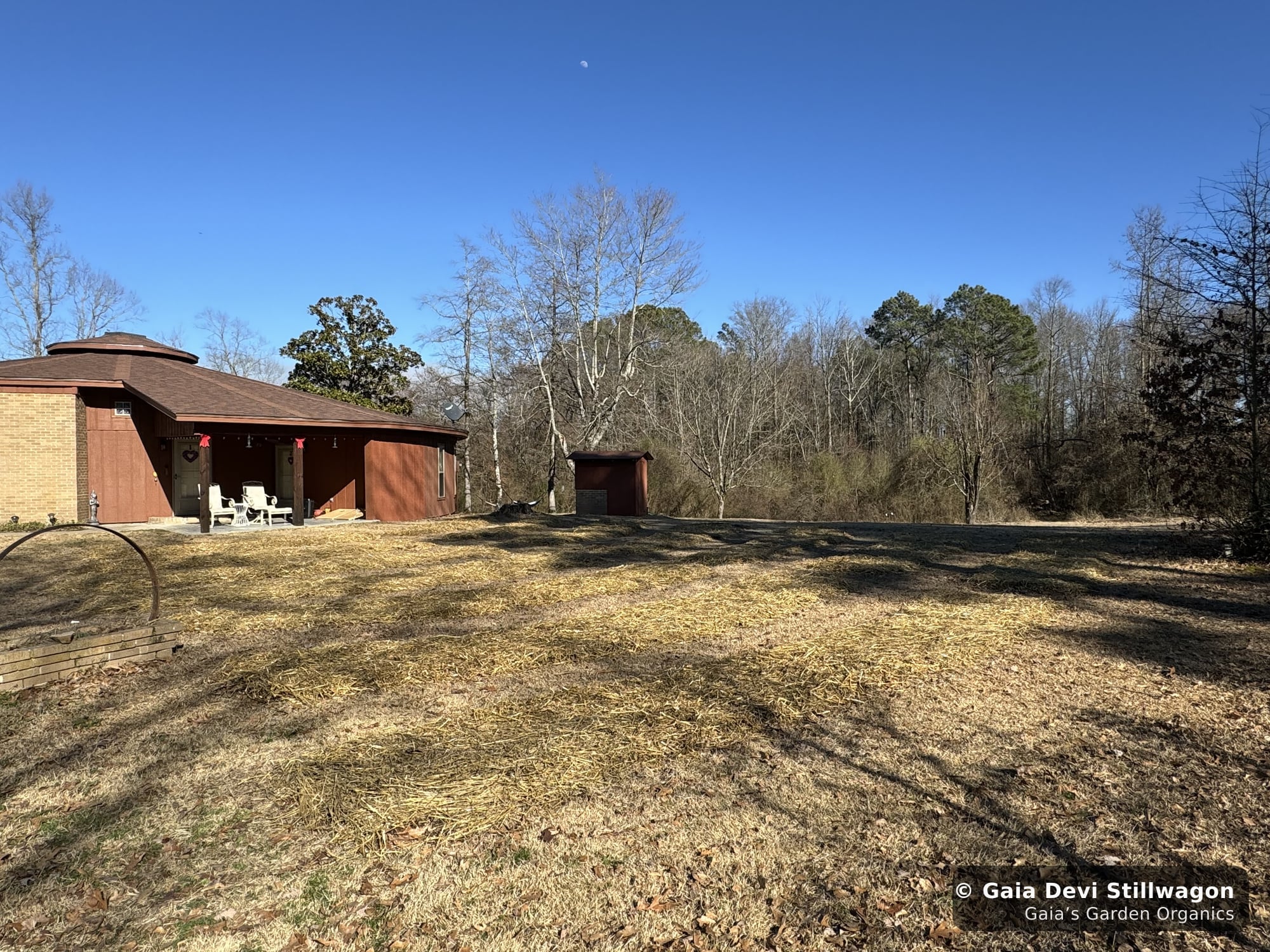 The medicinal herb garden at Gaia's Garden Organics, Umpire, Arkansas · Gaia Devi, clinical herbalist