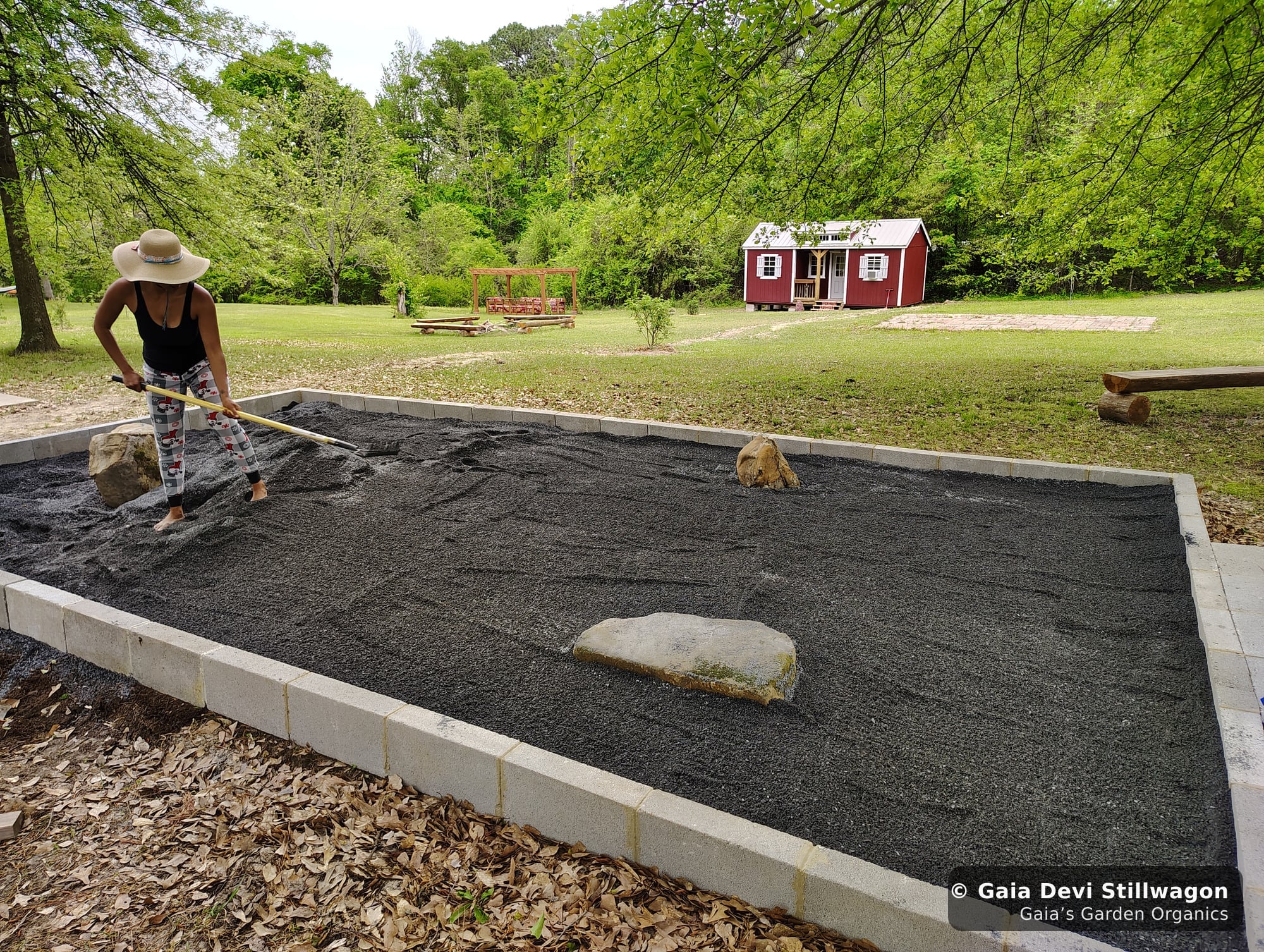 The medicinal herb garden at Gaia's Garden Organics, Umpire, Arkansas · Gaia Devi, clinical herbalist