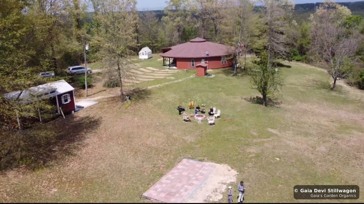 The medicinal herb garden at Gaia's Garden Organics, Umpire, Arkansas · Gaia Devi, clinical herbalist