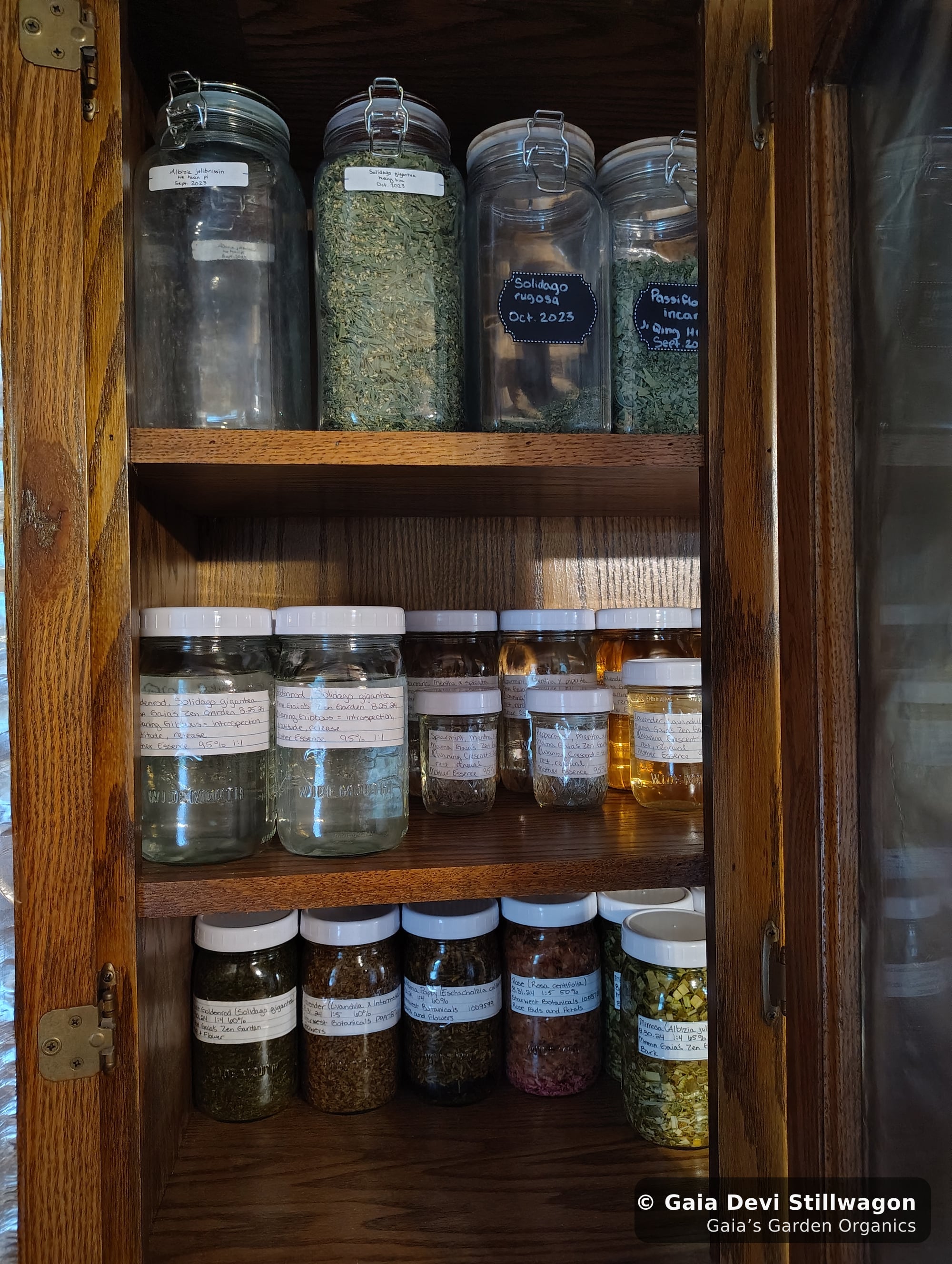 The medicinal herb garden at Gaia's Garden Organics, Umpire, Arkansas · Gaia Devi, clinical herbalist