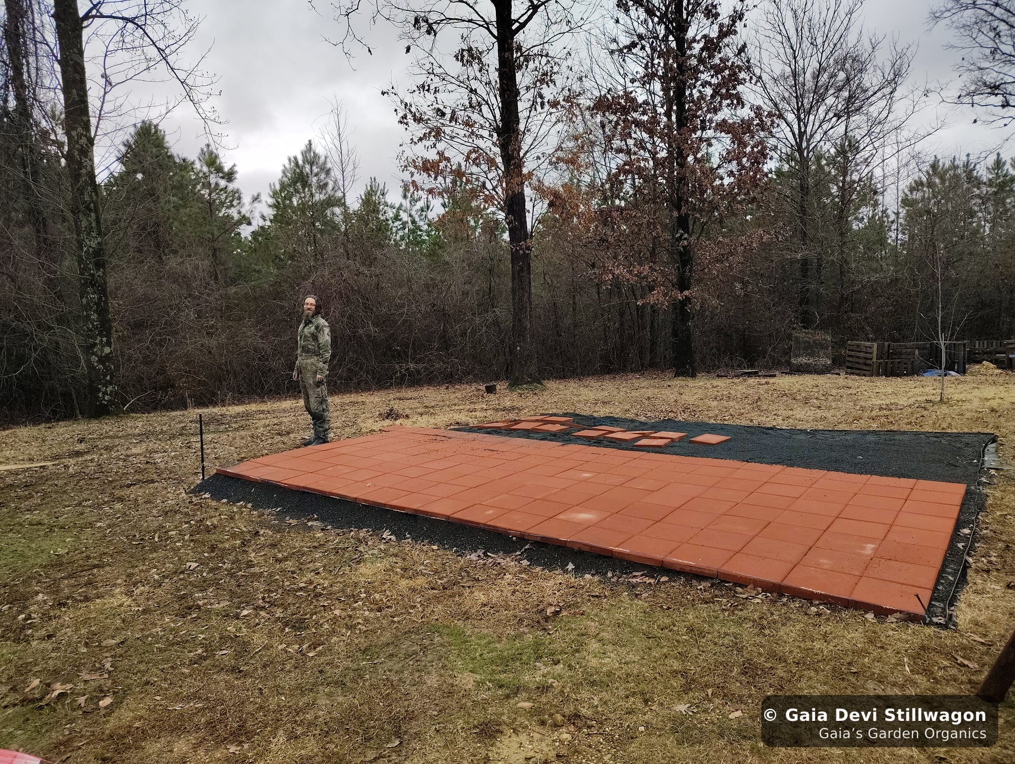 The medicinal herb garden at Gaia's Garden Organics, Umpire, Arkansas · Gaia Devi, clinical herbalist