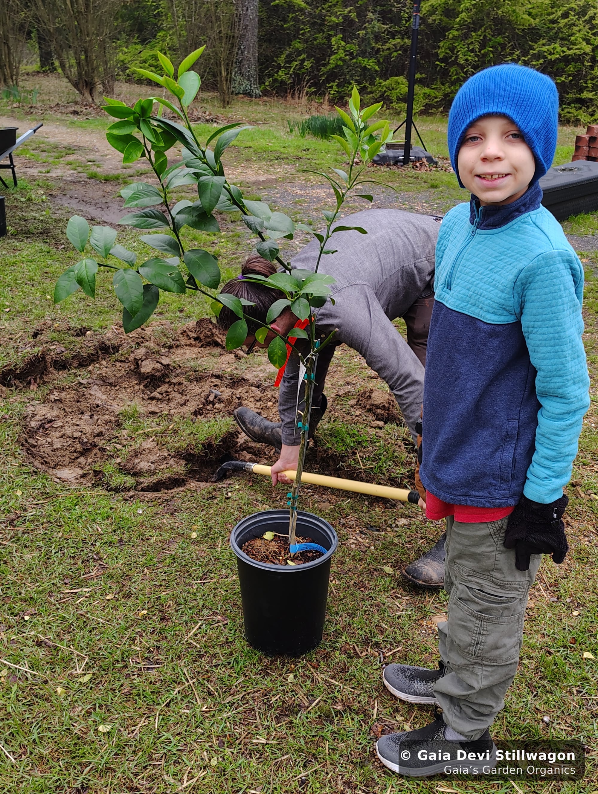 The medicinal herb garden at Gaia's Garden Organics, Umpire, Arkansas · Gaia Devi, clinical herbalist