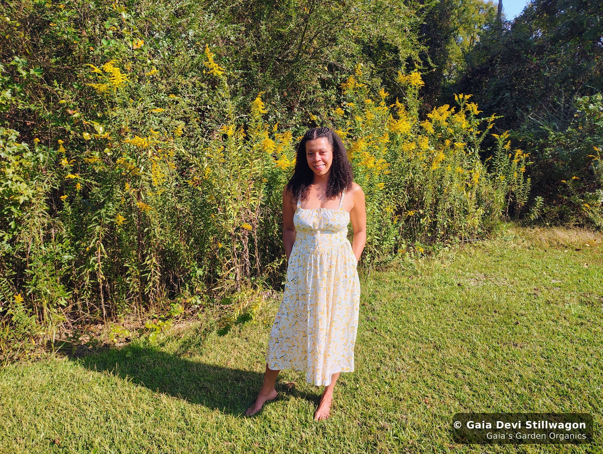 The medicinal herb garden at Gaia's Garden Organics, Umpire, Arkansas · Gaia Devi, clinical herbalist