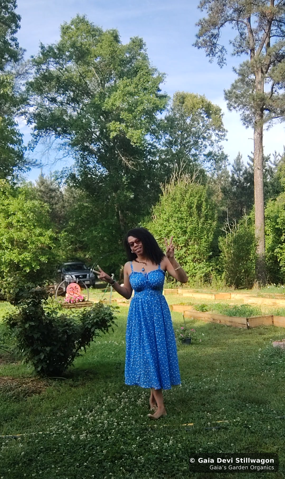 The medicinal herb garden at Gaia's Garden Organics, Umpire, Arkansas · Gaia Devi, clinical herbalist