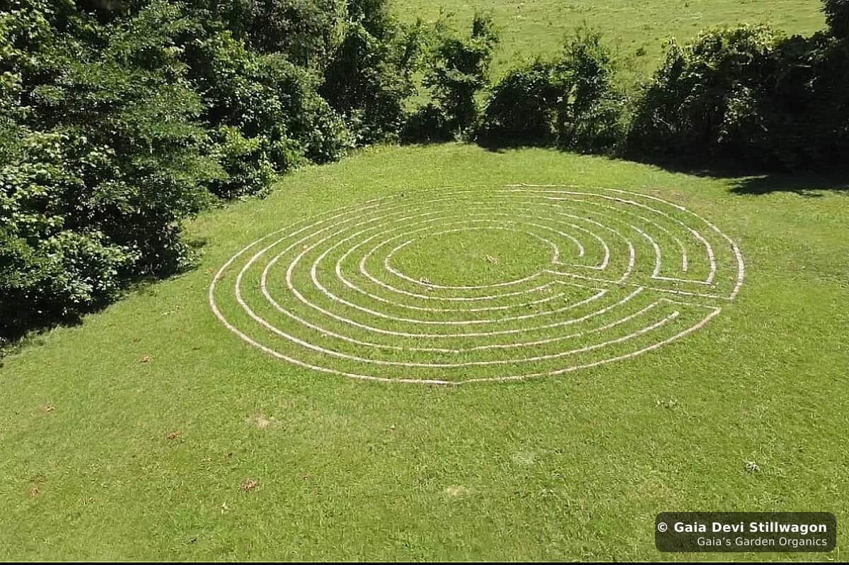The medicinal herb garden at Gaia's Garden Organics, Umpire, Arkansas · Gaia Devi, clinical herbalist