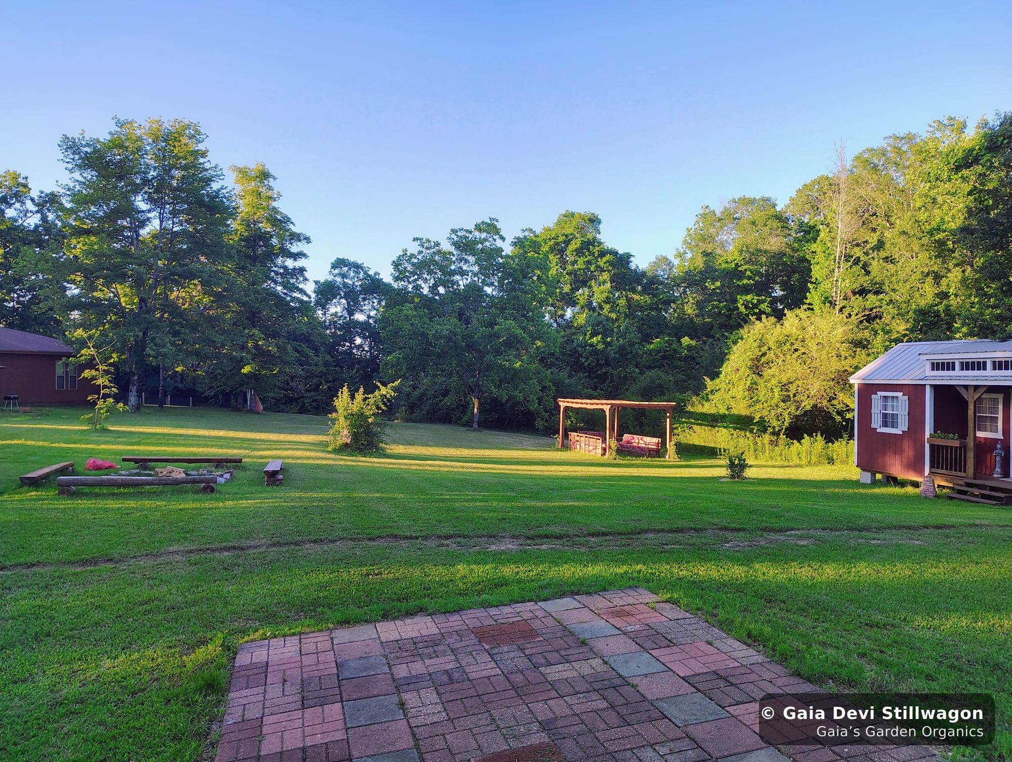 The medicinal herb garden at Gaia's Garden Organics, Umpire, Arkansas · Gaia Devi, clinical herbalist
