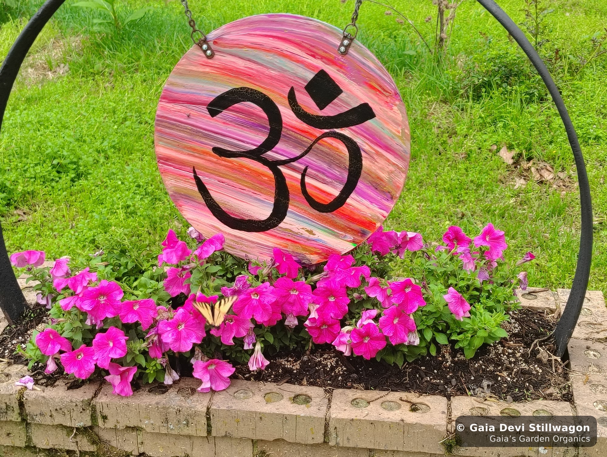 The medicinal herb garden at Gaia's Garden Organics, Umpire, Arkansas · Gaia Devi, clinical herbalist