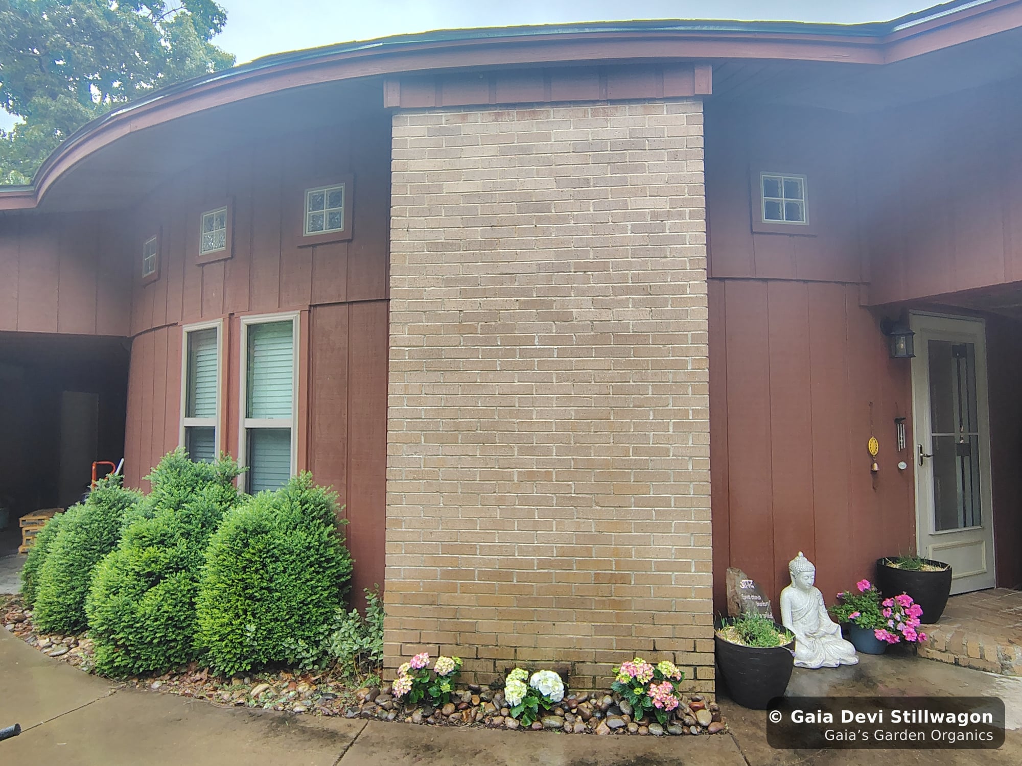 The medicinal herb garden at Gaia's Garden Organics, Umpire, Arkansas · Gaia Devi, clinical herbalist