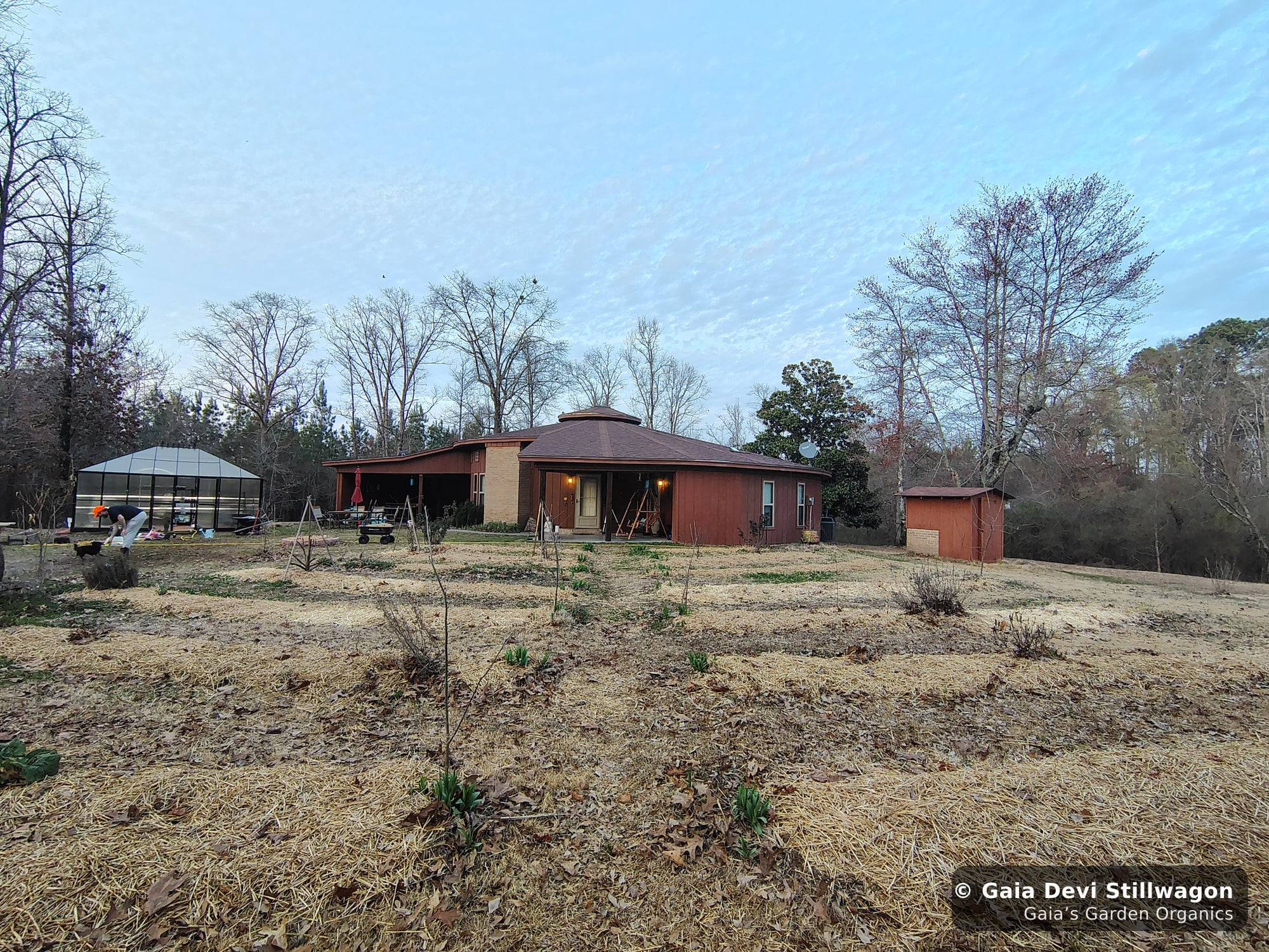 The medicinal herb garden at Gaia's Garden Organics, Umpire, Arkansas · Gaia Devi, clinical herbalist