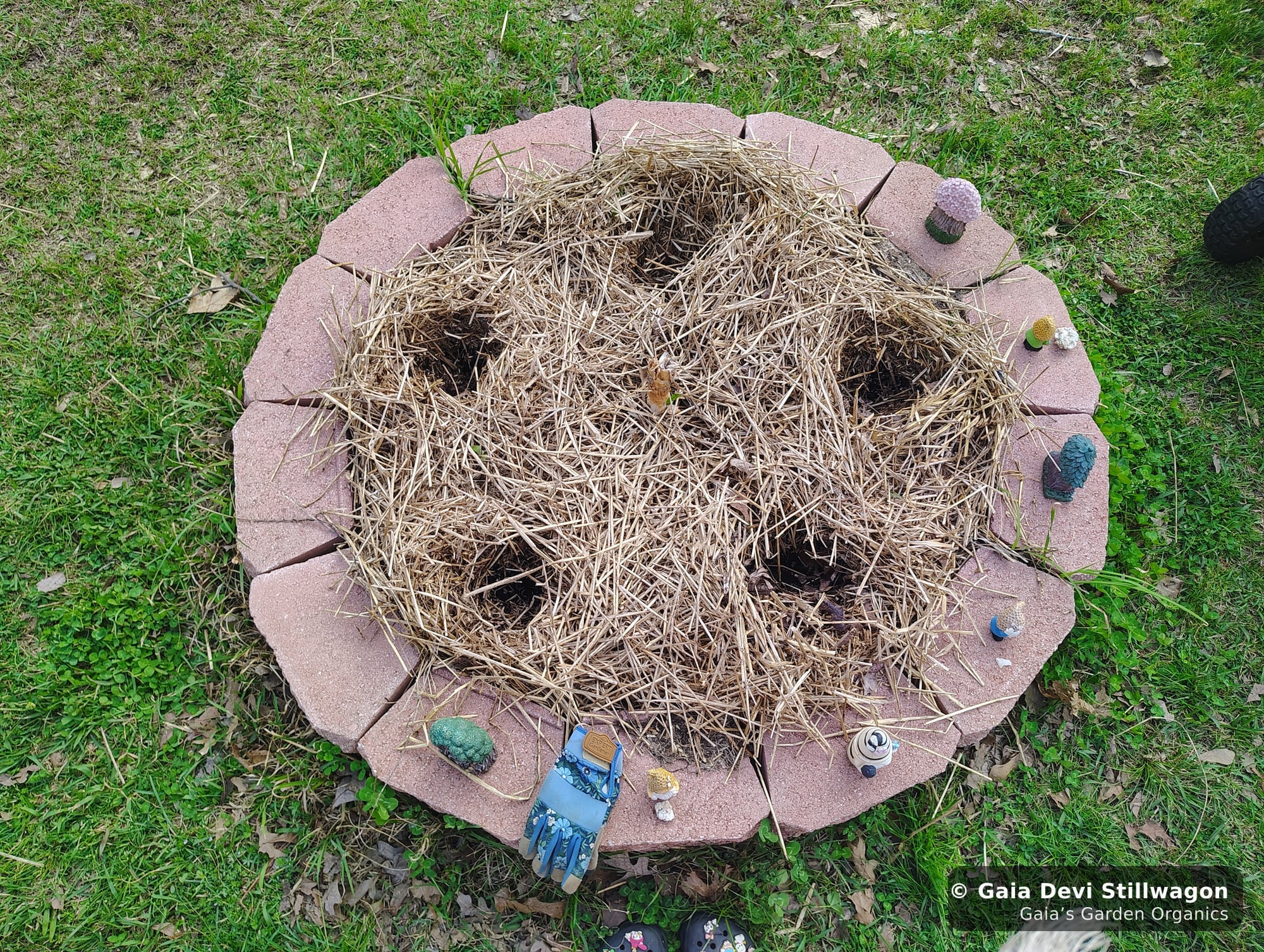 The medicinal herb garden at Gaia's Garden Organics, Umpire, Arkansas · Gaia Devi, clinical herbalist