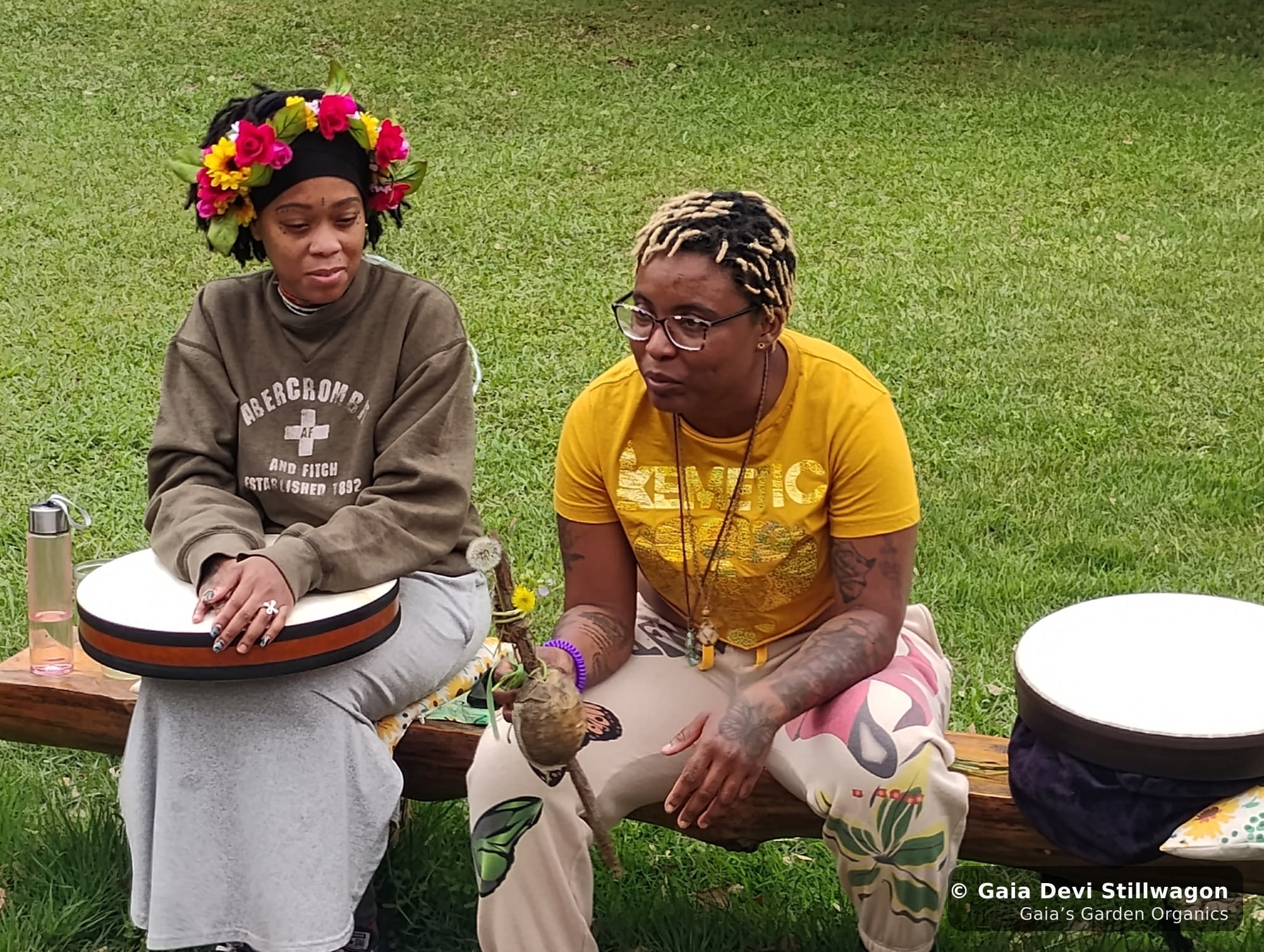 The medicinal herb garden at Gaia's Garden Organics, Umpire, Arkansas · Gaia Devi, clinical herbalist