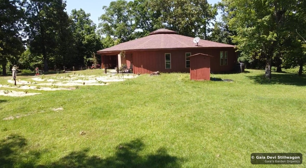 The medicinal herb garden at Gaia's Garden Organics, Umpire, Arkansas · Gaia Devi, clinical herbalist