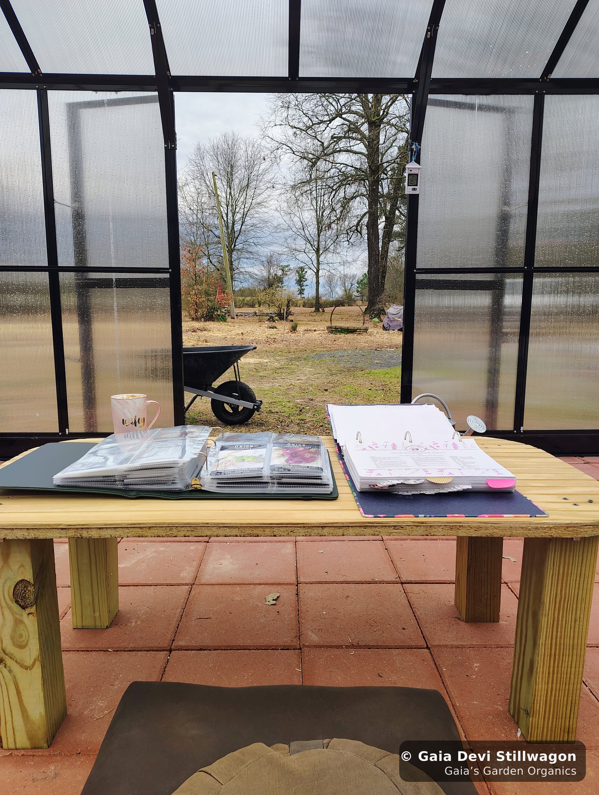The medicinal herb garden at Gaia's Garden Organics, Umpire, Arkansas · Gaia Devi, clinical herbalist